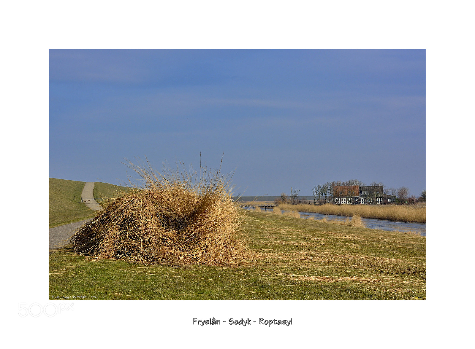 Nikon D7100 sample photo. Mowed reed at sedyk photography