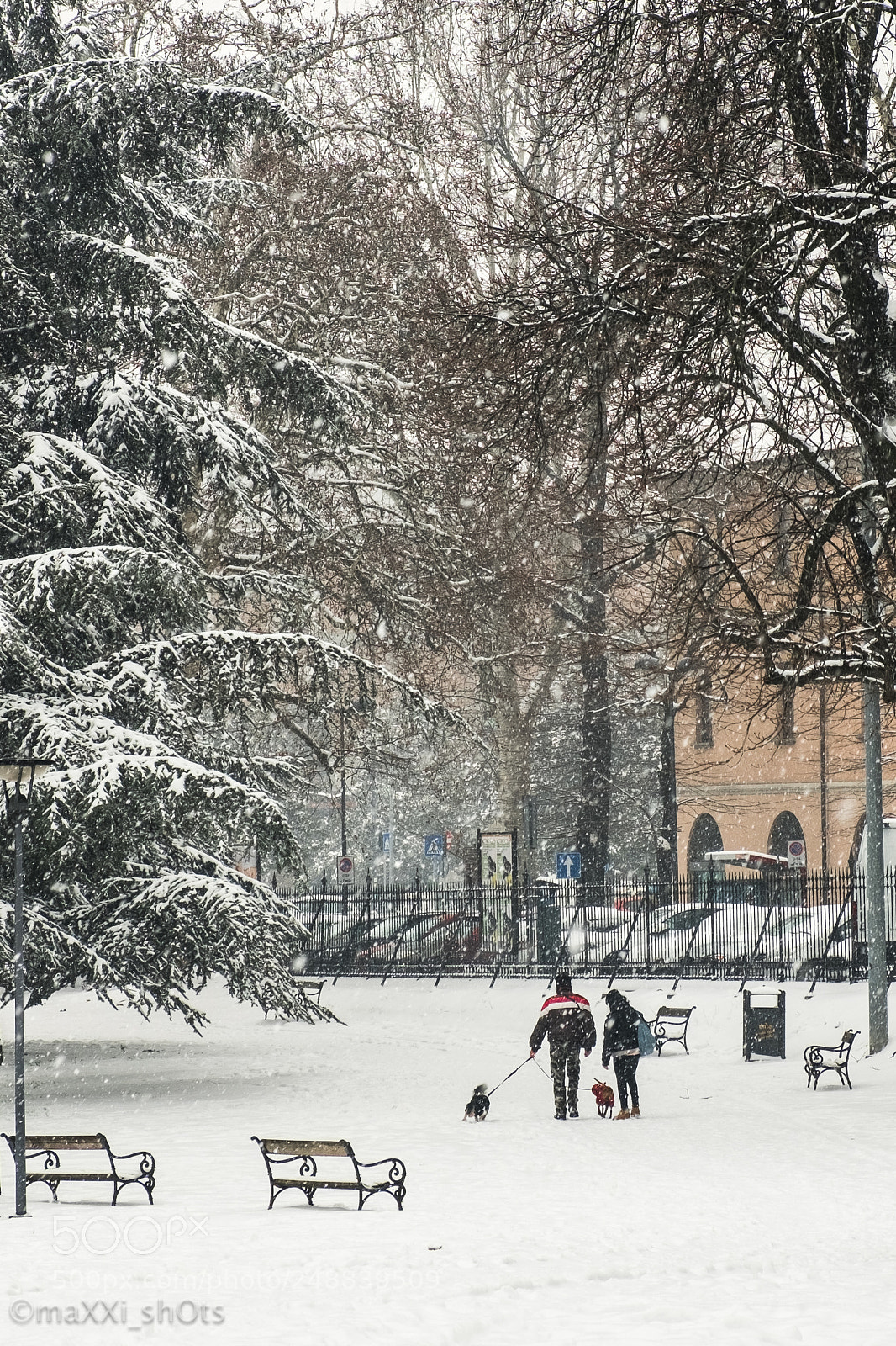 Fujifilm X-T20 sample photo. Walking in a snowy photography