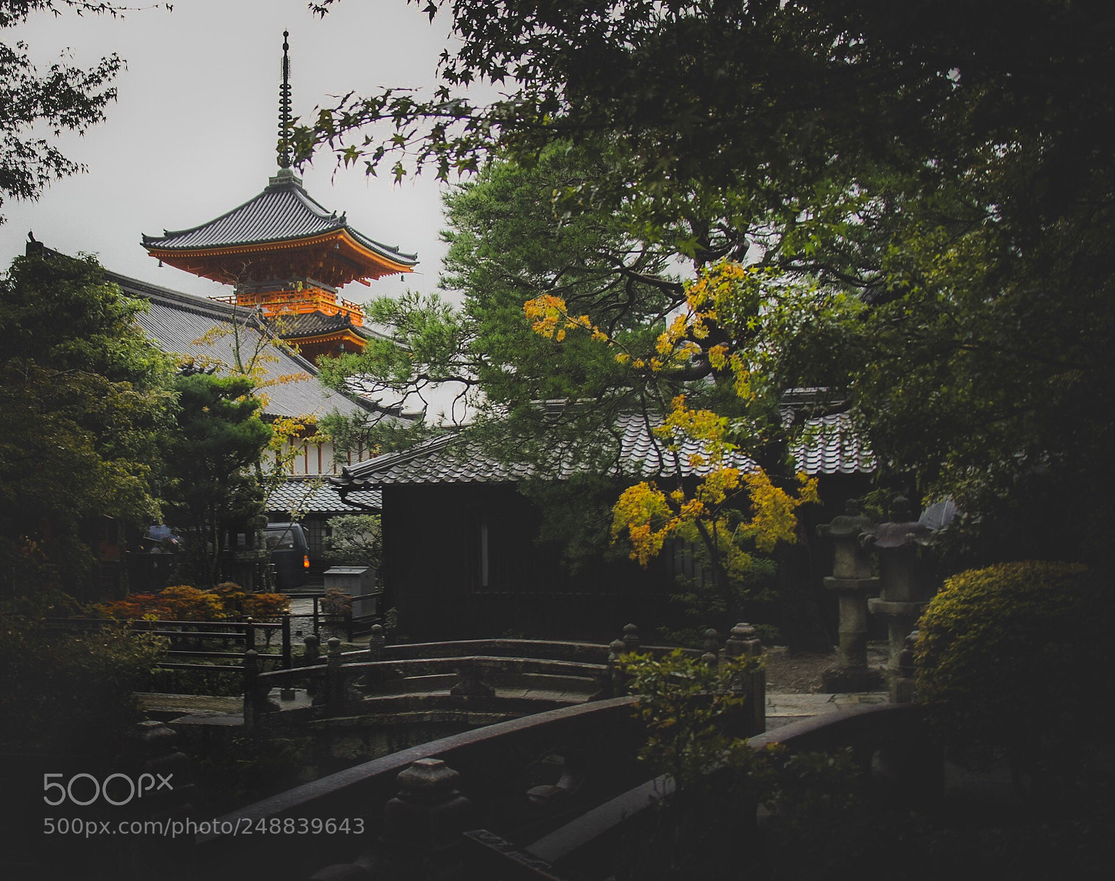 Sony Alpha NEX-5 sample photo. Japonisme photography