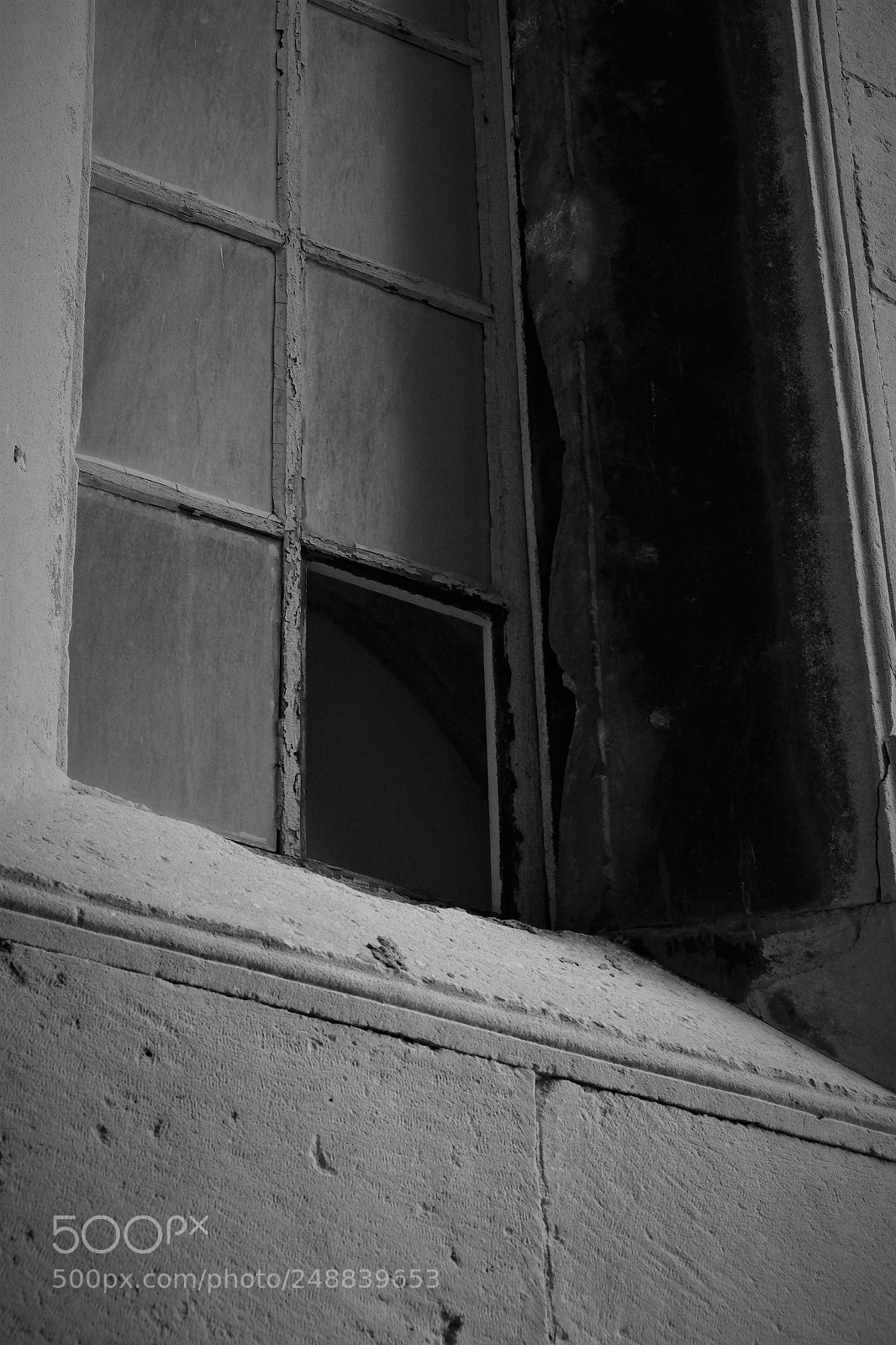 Fujifilm X-T1 sample photo. Feeling curious photography