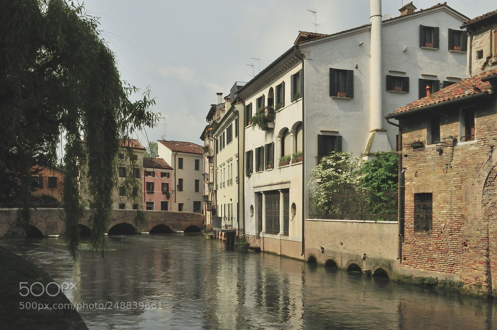 Nikon D300 sample photo. Spring in veneto photography