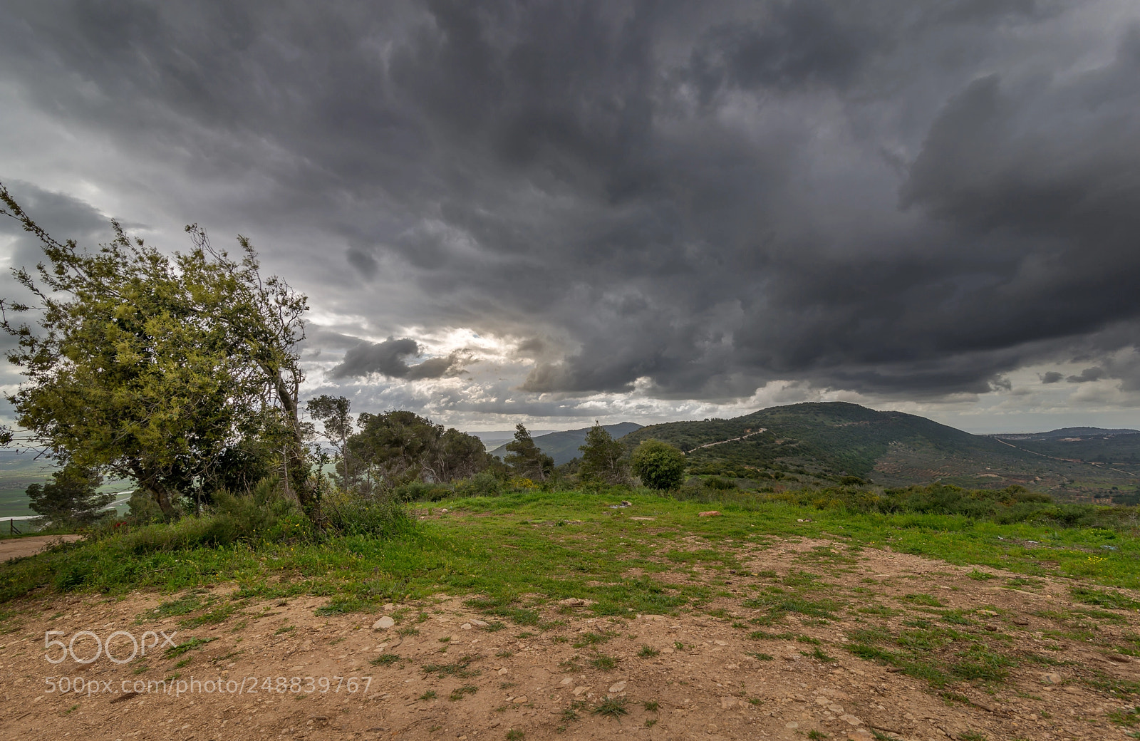 Nikon D610 sample photo. Israel photography