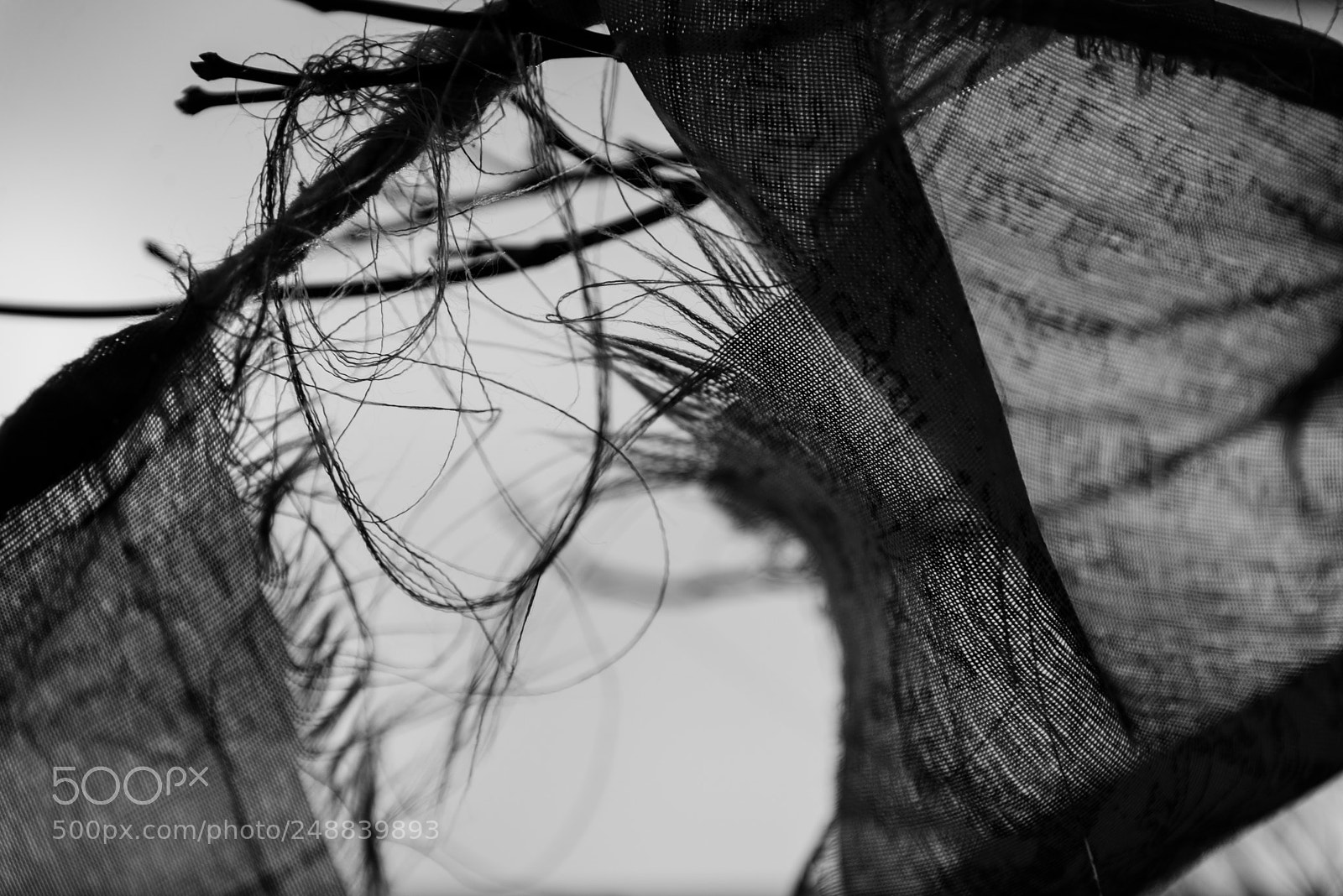 Nikon D600 sample photo. Liens photography