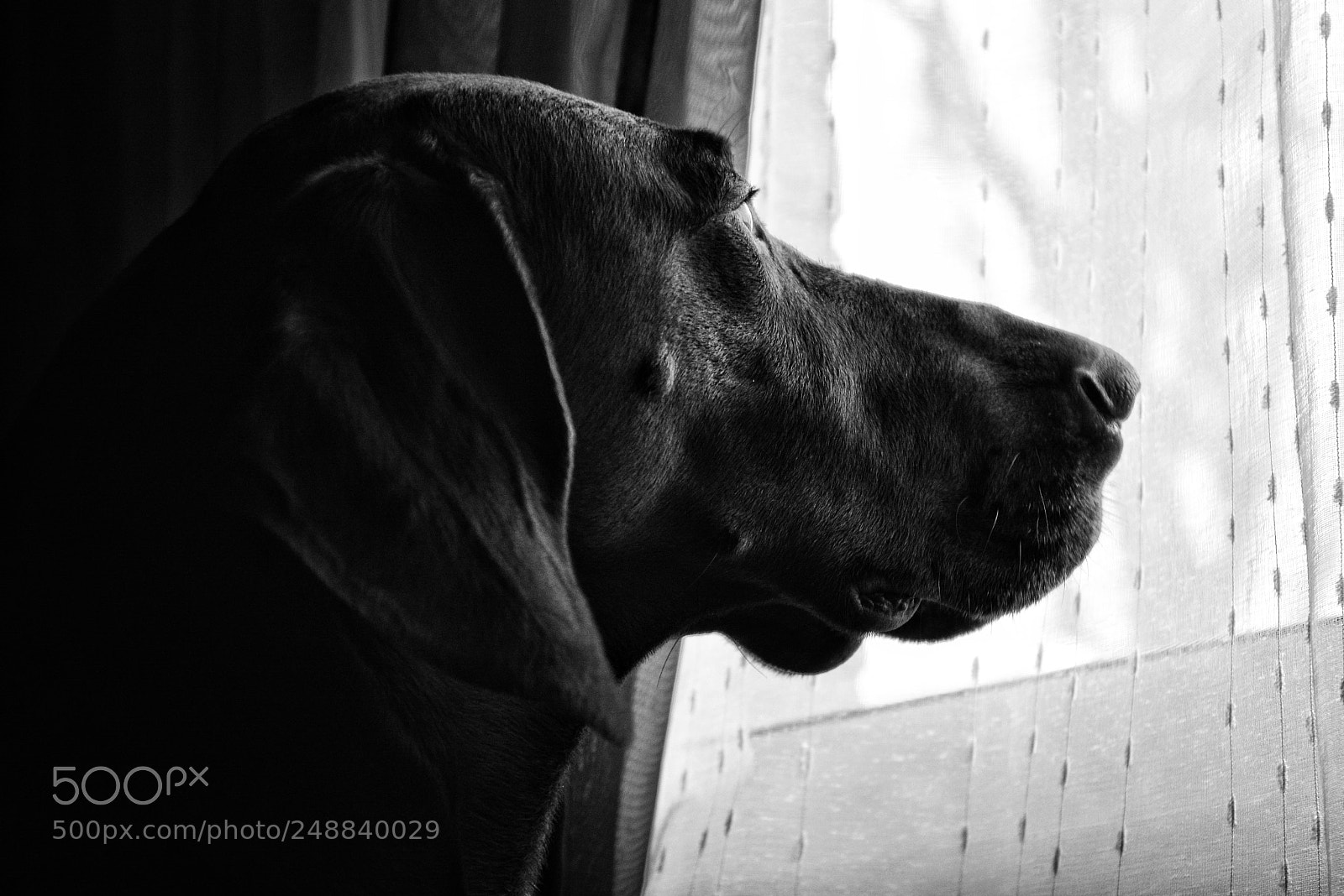 Nikon D5200 sample photo. Untitled photography