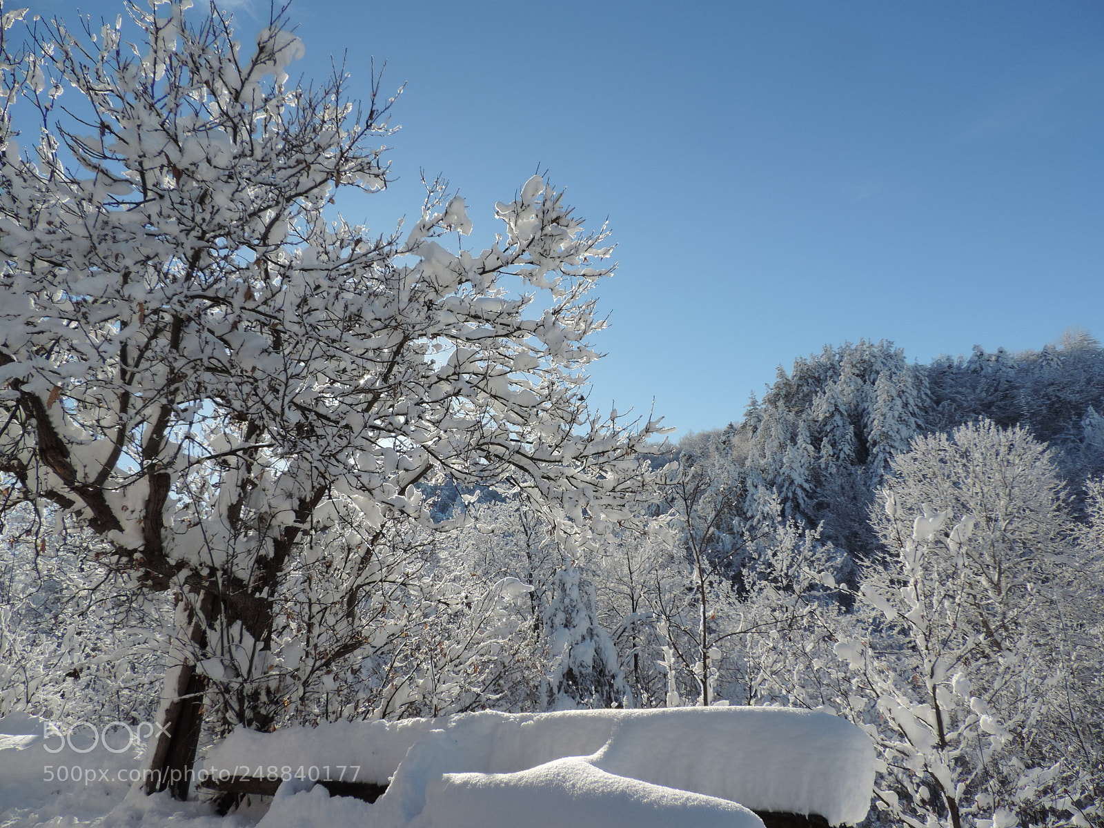 Nikon Coolpix P520 sample photo. Inverno.... photography