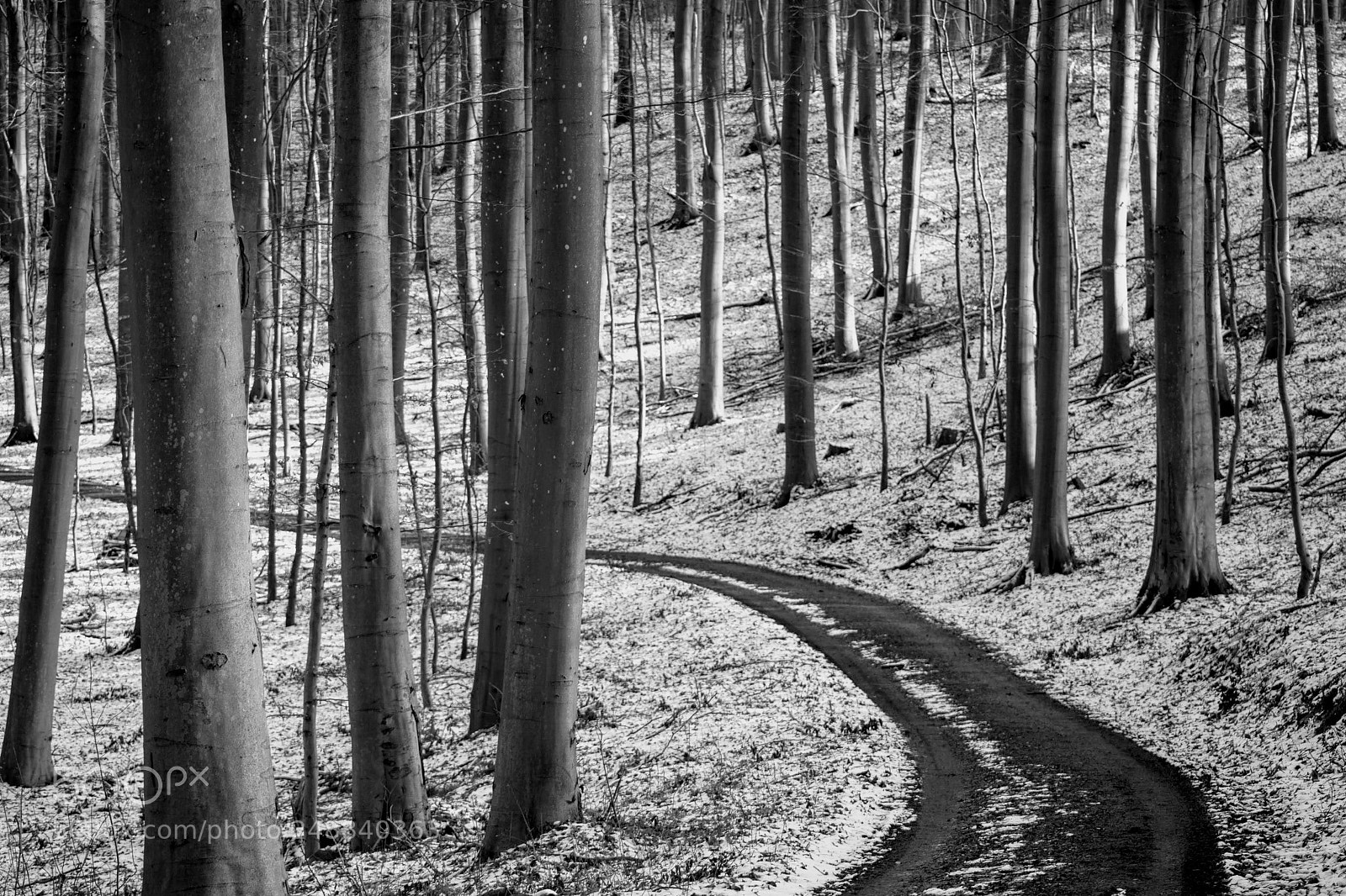 Canon EOS 750D (EOS Rebel T6i / EOS Kiss X8i) sample photo. Snowy road to where? photography
