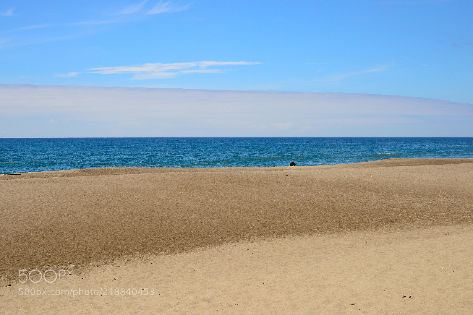Nikon Df sample photo. The beach photography