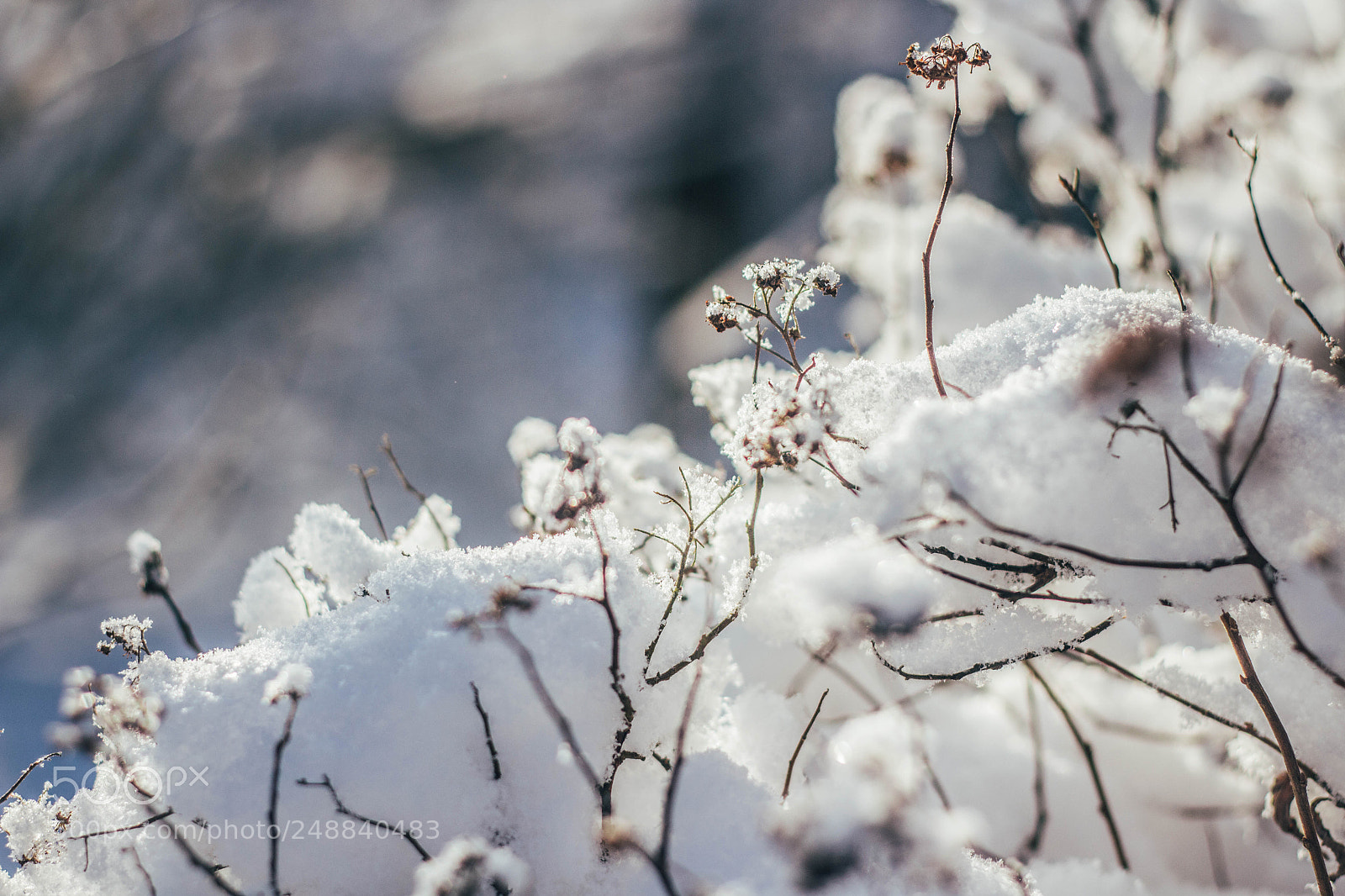 Canon EOS 700D (EOS Rebel T5i / EOS Kiss X7i) sample photo. Snow photography
