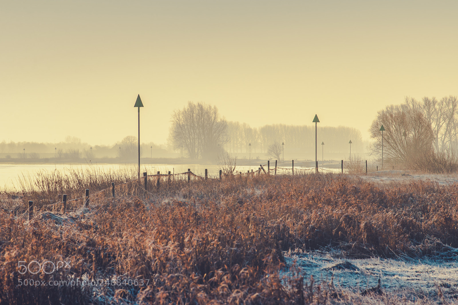 Sony Alpha DSLR-A900 sample photo. Sunrise over river de photography