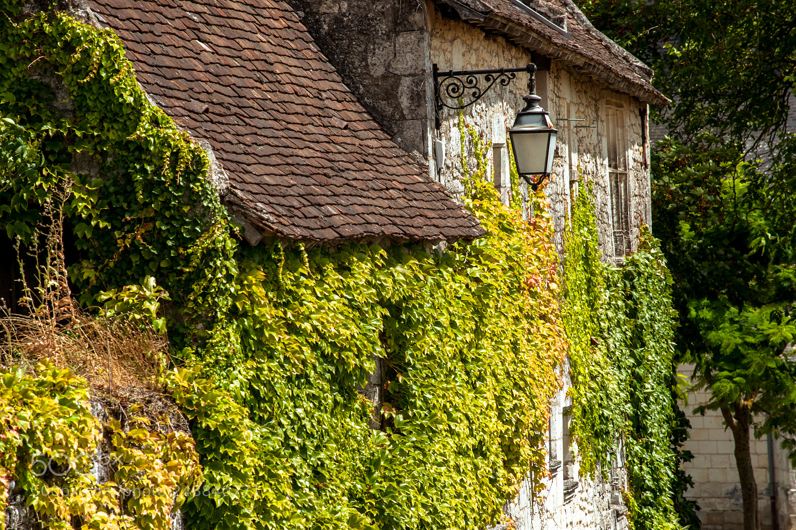 Sony Alpha DSLR-A900 sample photo. Scene in crissay sur photography