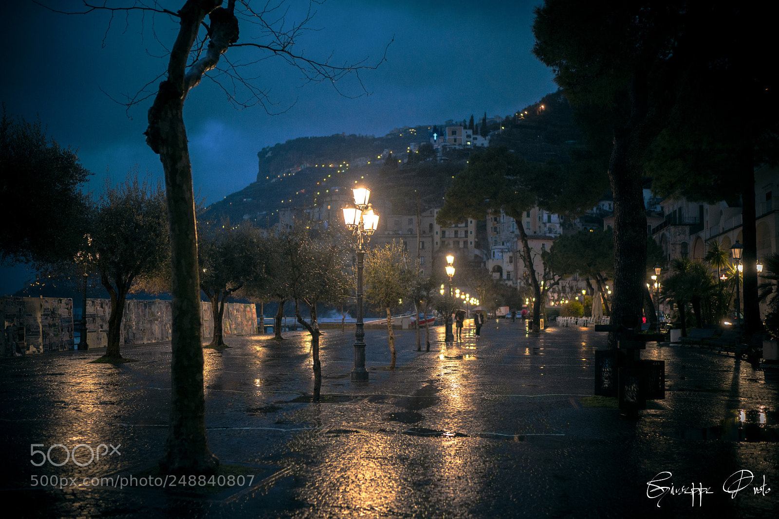 Sony a7R II sample photo. First light photography
