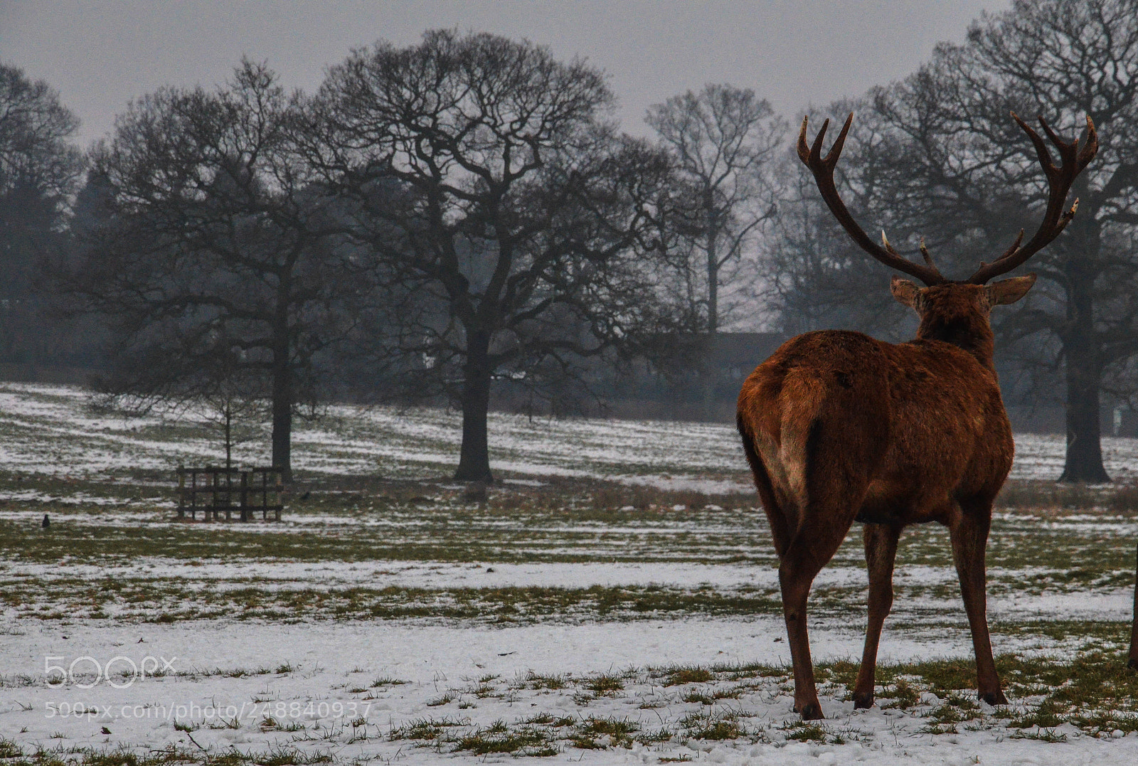 Nikon D5100 sample photo. Waiting for the summer photography