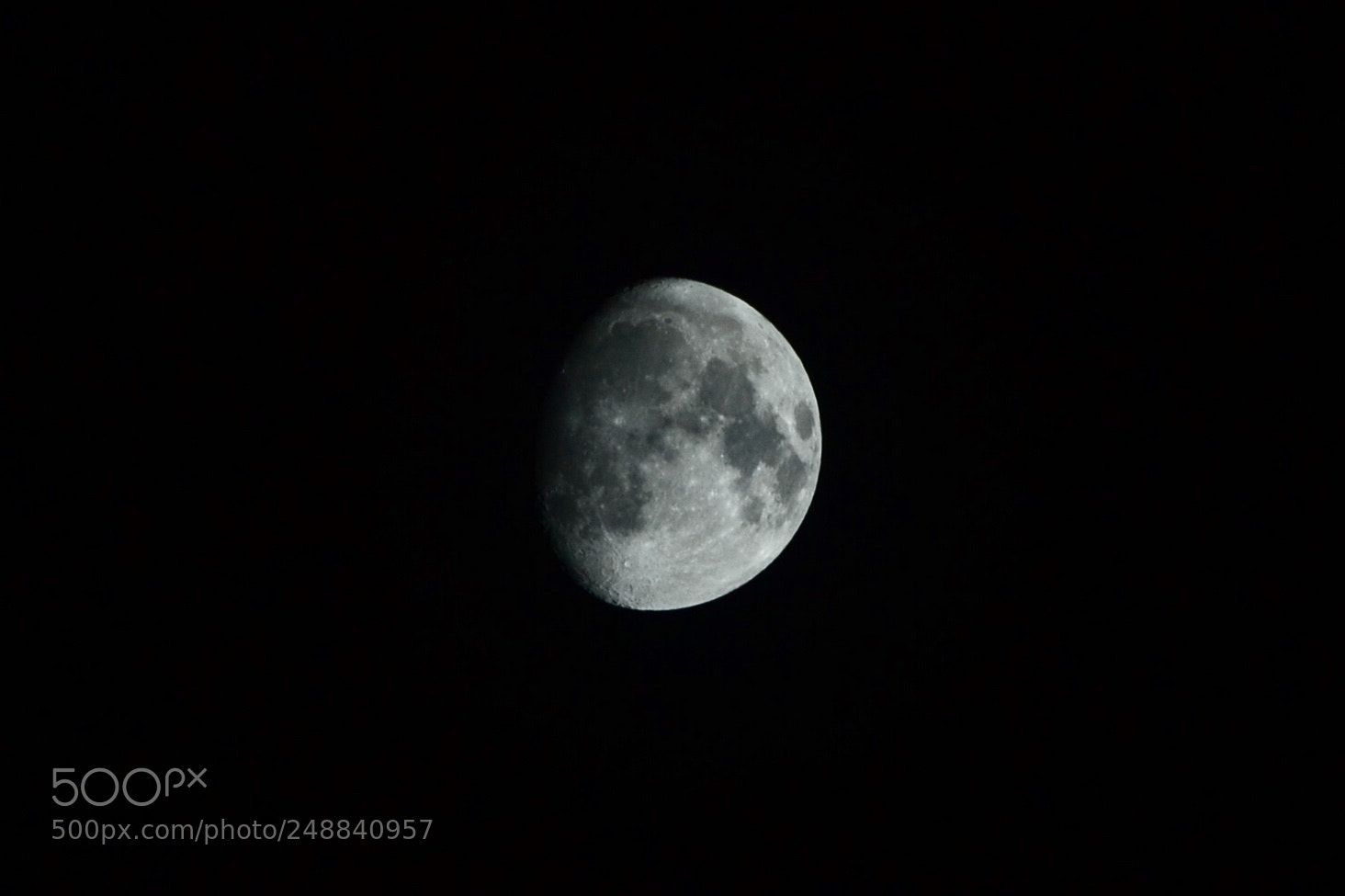 Nikon D3100 sample photo. Untitled photography