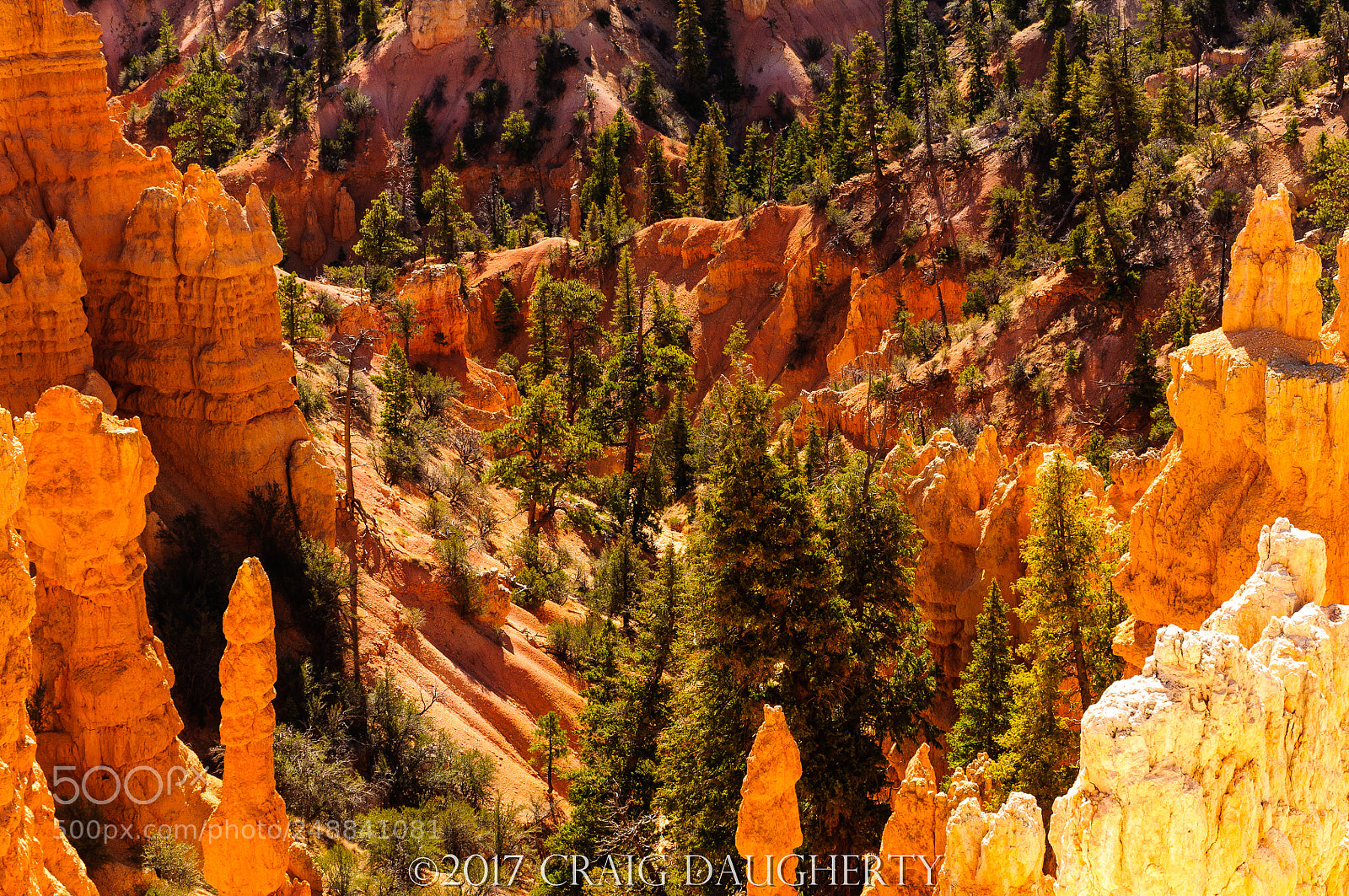 Nikon D90 sample photo. Bryce canyon nat pk photography