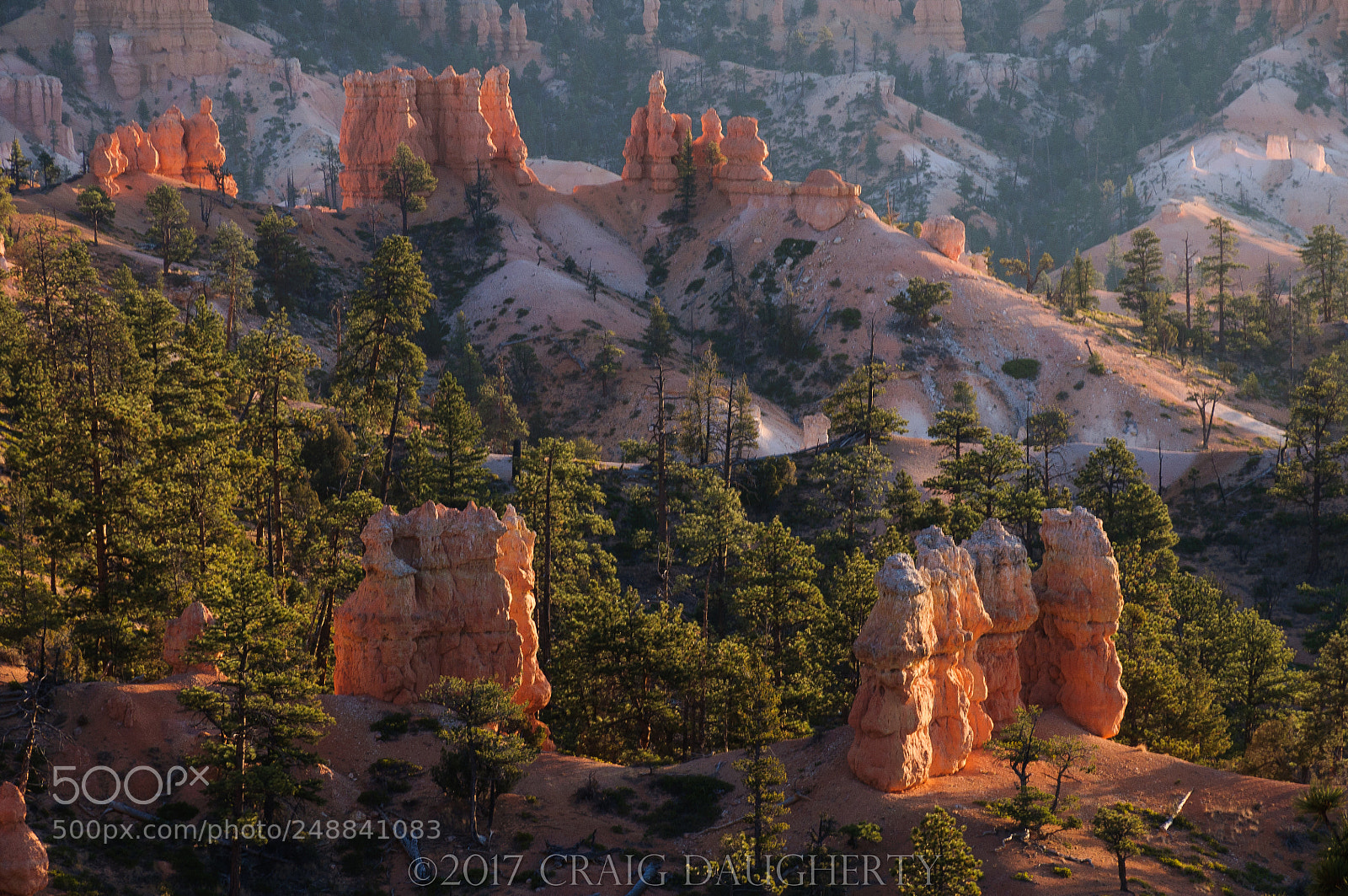 Nikon D90 sample photo. Bryce canyon nat pk 2 photography