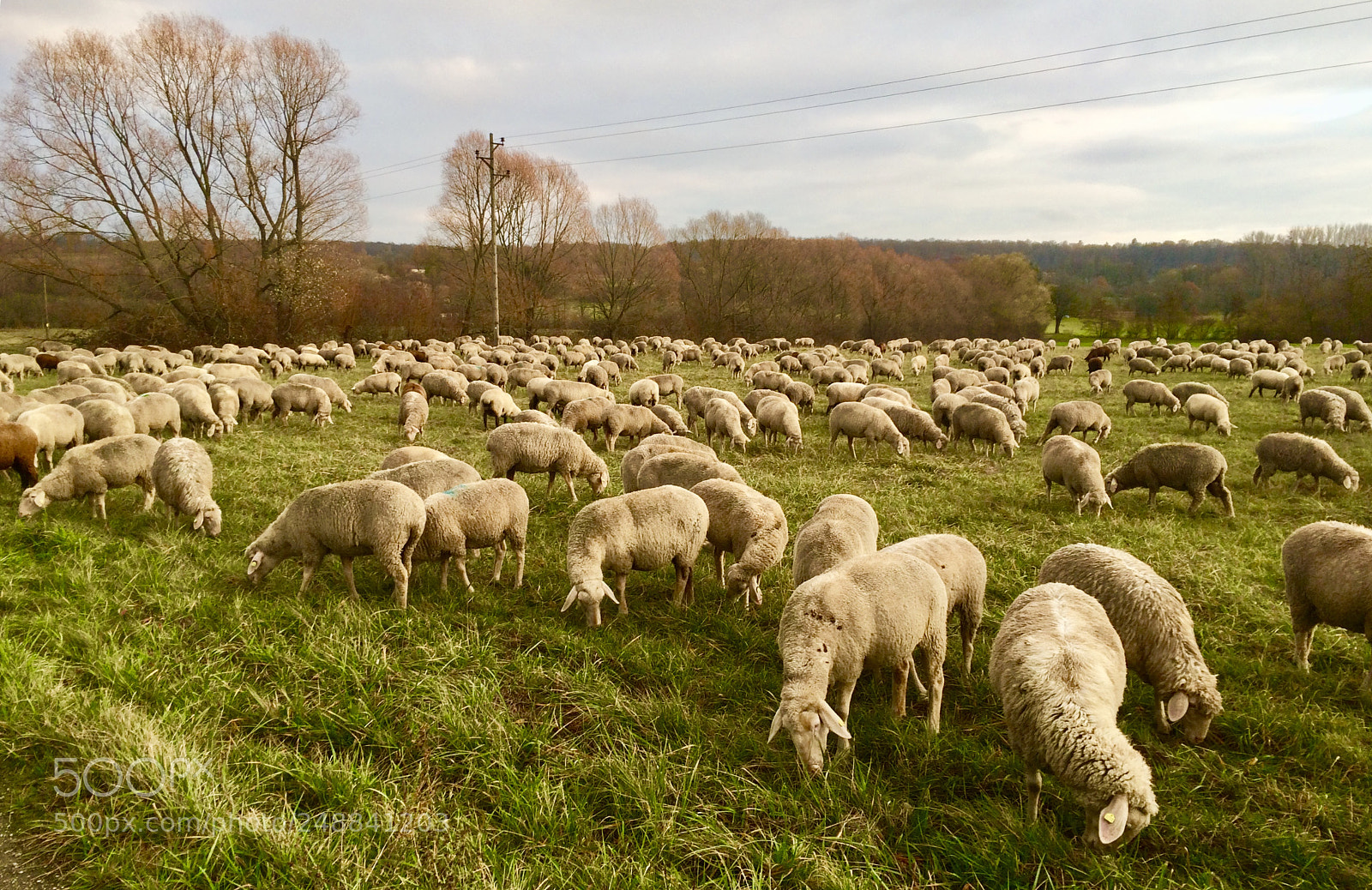 Apple iPhone 5s sample photo. German countryside photography