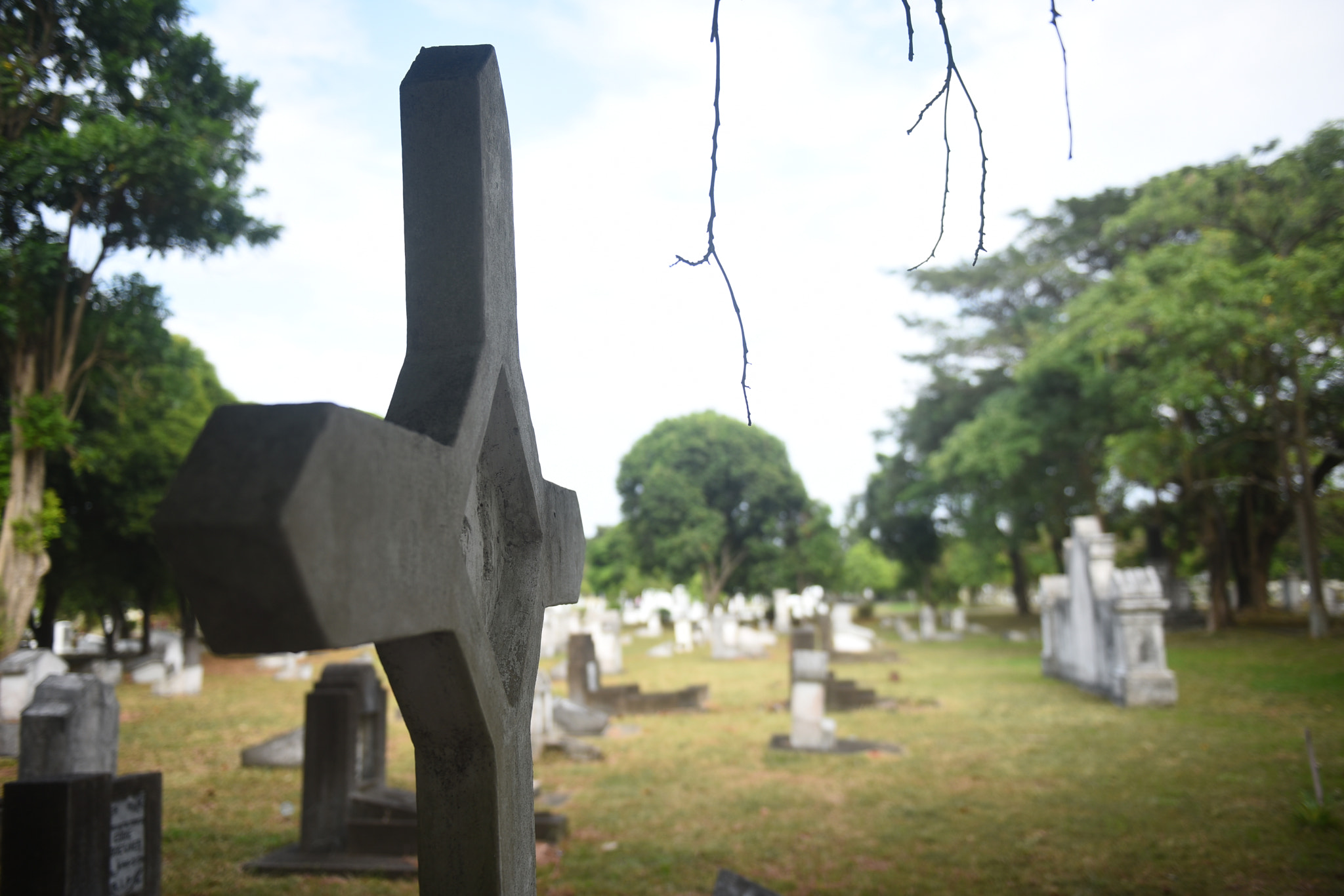 Nikon AF-S Nikkor 24-70mm F2.8G ED sample photo. Dutch kerkhof poucut cemetery photography