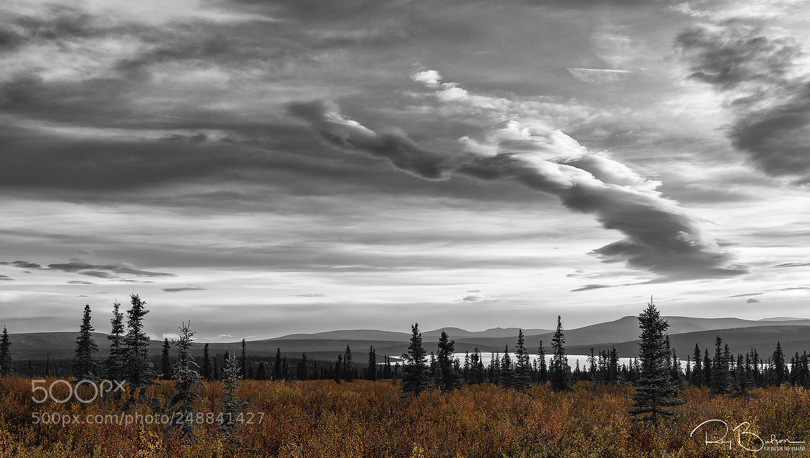 Canon EOS 5DS R sample photo. Paxson lake autumn bwc photography