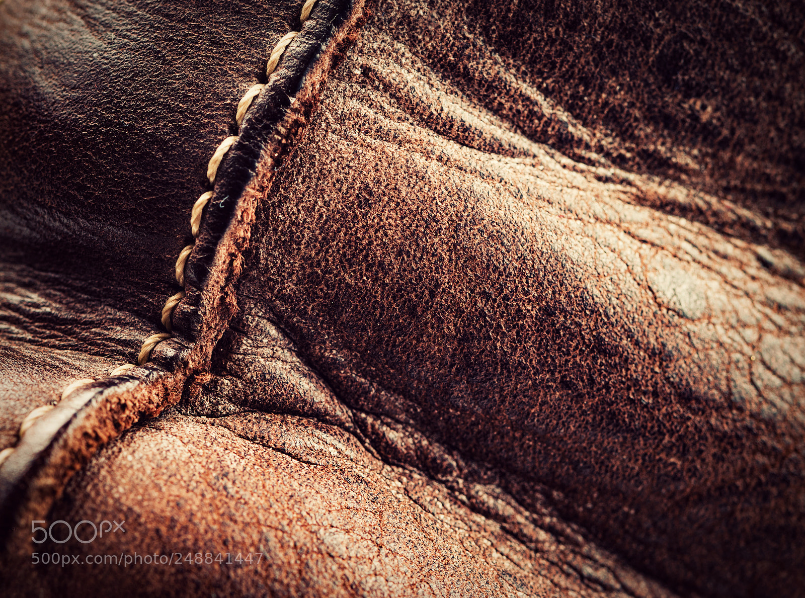 Nikon D5500 sample photo. Detail of a stitched photography