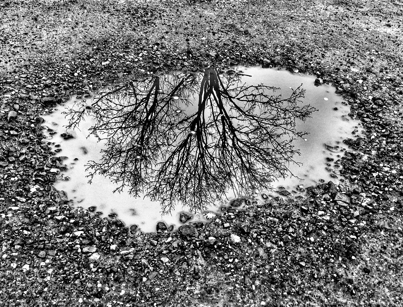 Apple iPhone 6 sample photo. Potholes....! photography
