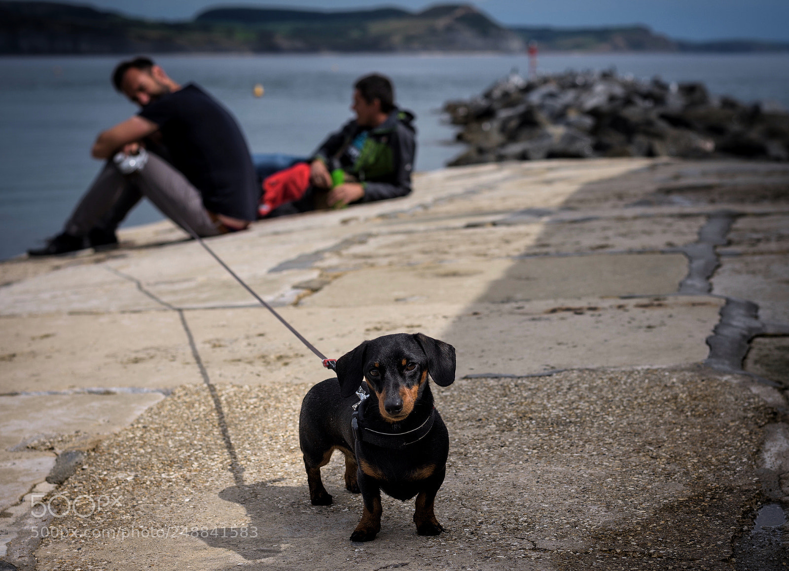 Nikon D810 sample photo. Sausage photography
