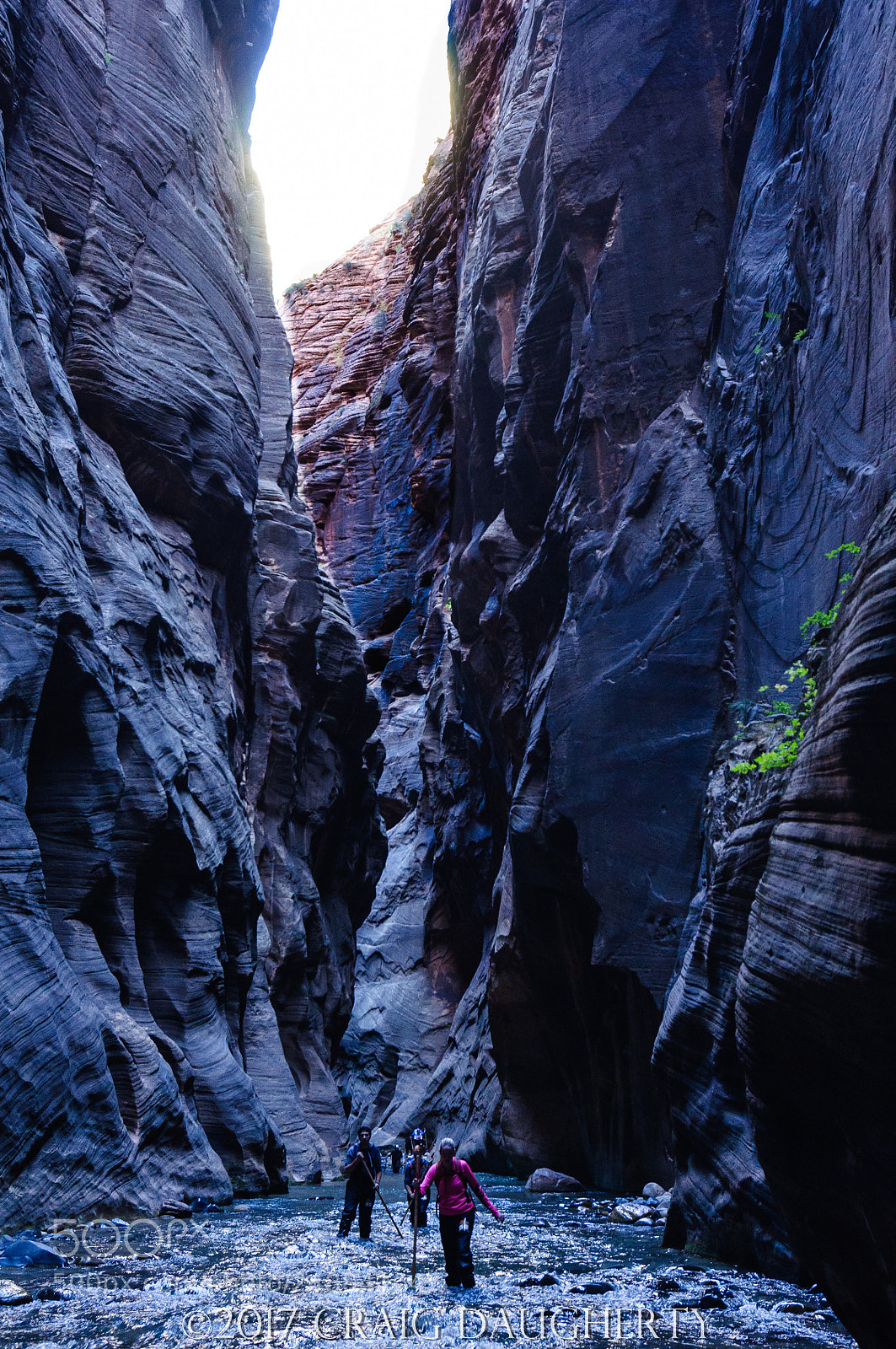 Nikon D90 sample photo. Zion nat pk, virgin photography