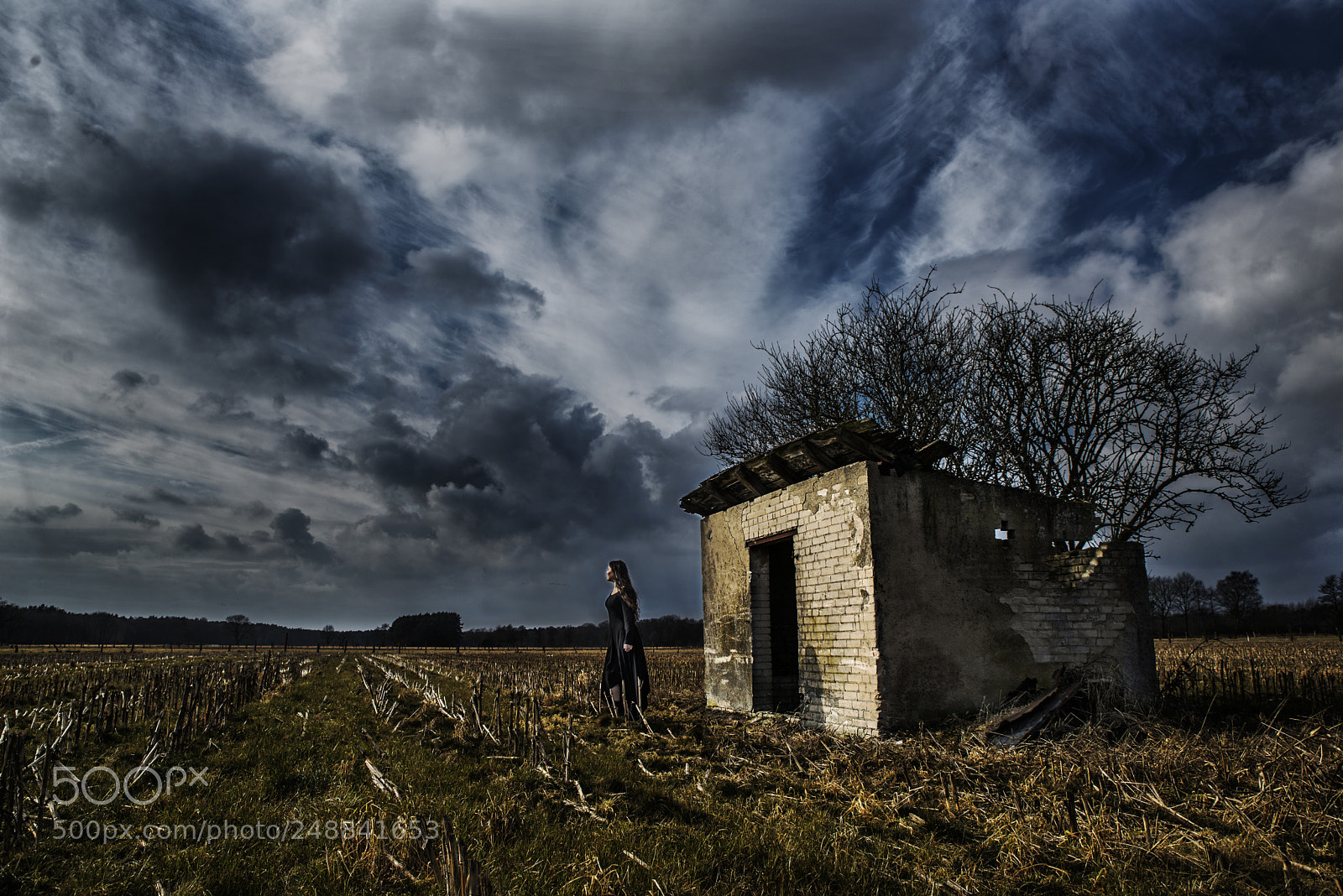 Nikon D610 sample photo. Standing in the storm photography