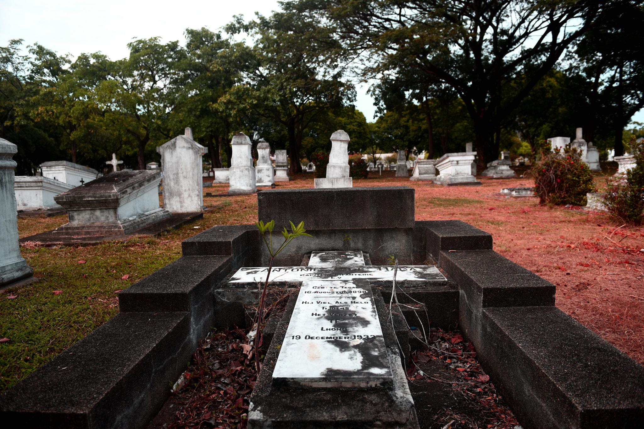 Nikon AF-S Nikkor 24-70mm F2.8G ED sample photo. Dutch kerkhof poucut cemetery photography