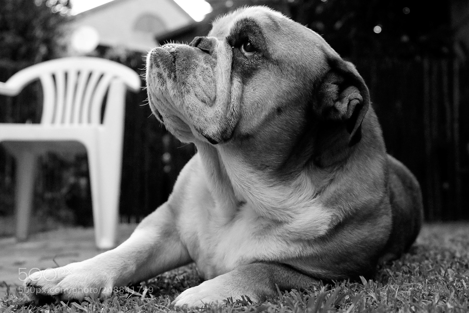 Canon EOS 7D Mark II sample photo. Lola photography