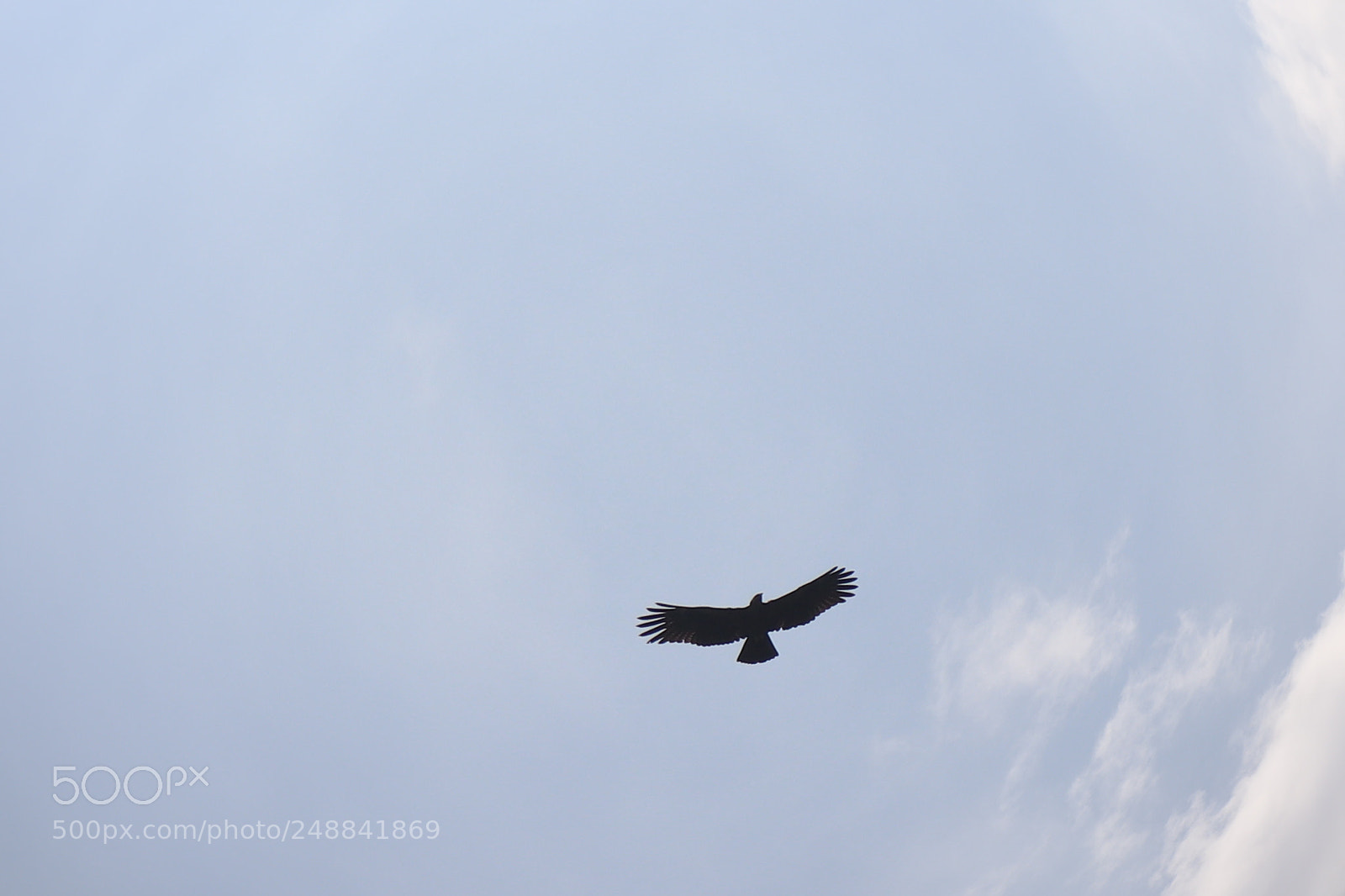 Canon EOS 200D (EOS Rebel SL2 / EOS Kiss X9) sample photo. Gotcha!!! photography