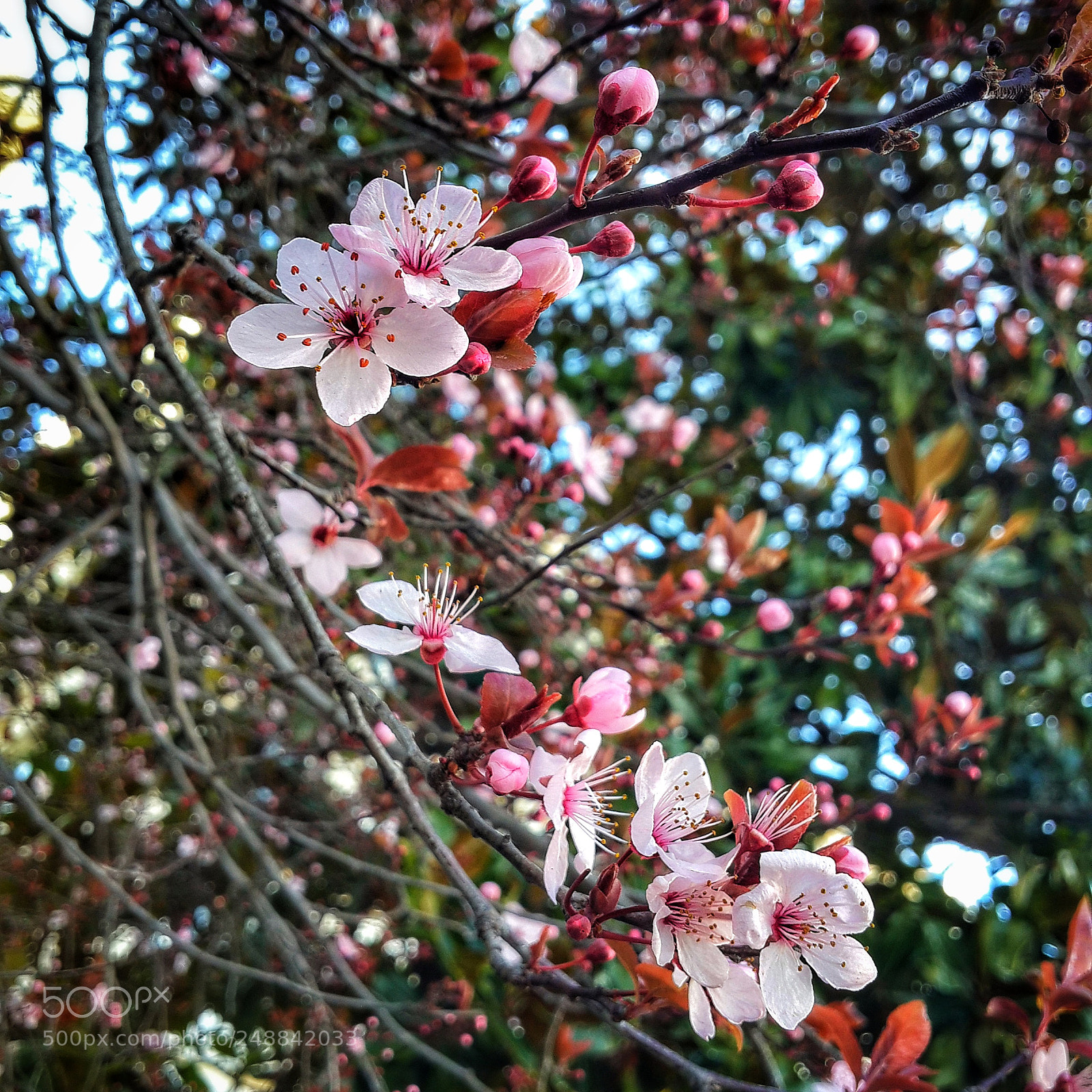 Samsung Galaxy S4 sample photo. Gözkırpma photography