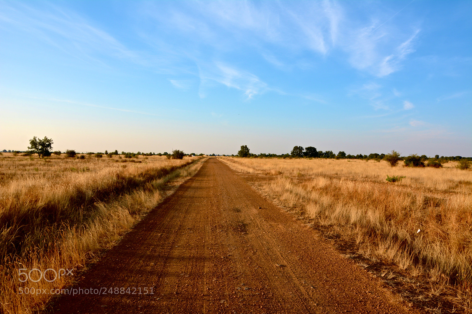 Nikon D5200 sample photo. Long way photography