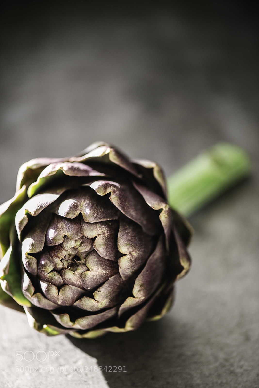 Nikon D800 sample photo. Artichoke photography