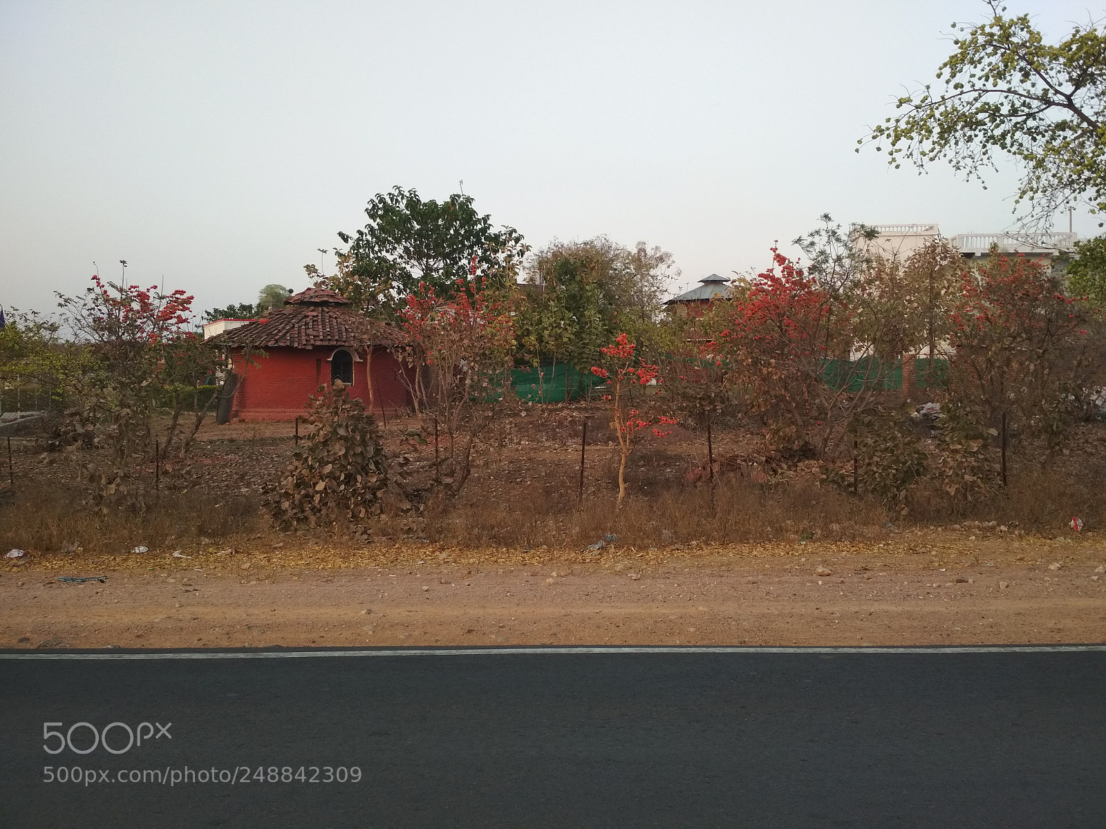 Xiaomi Redmi 4 Pro sample photo. Untitled photography