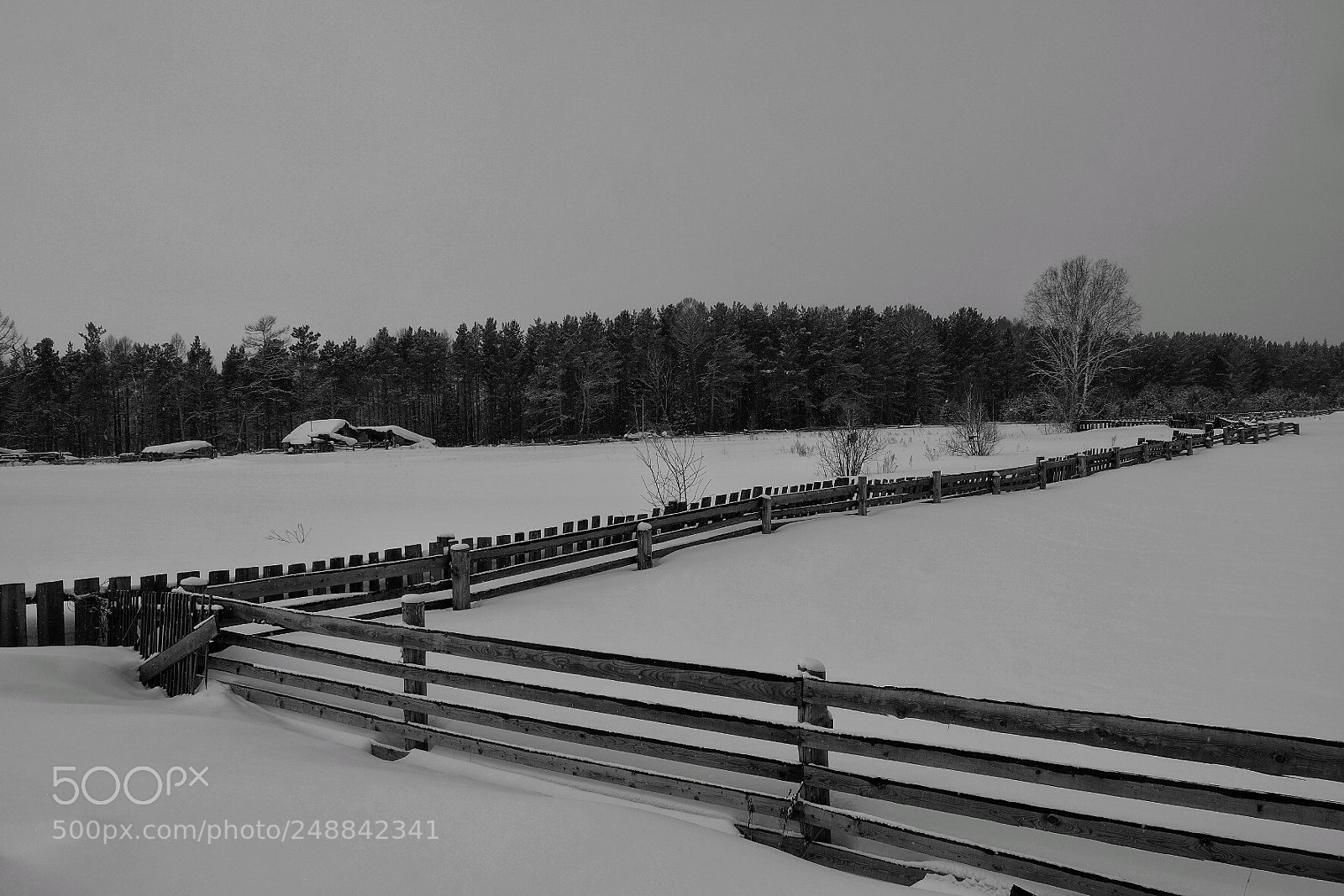 Fujifilm X-T2 sample photo. Untitled photography