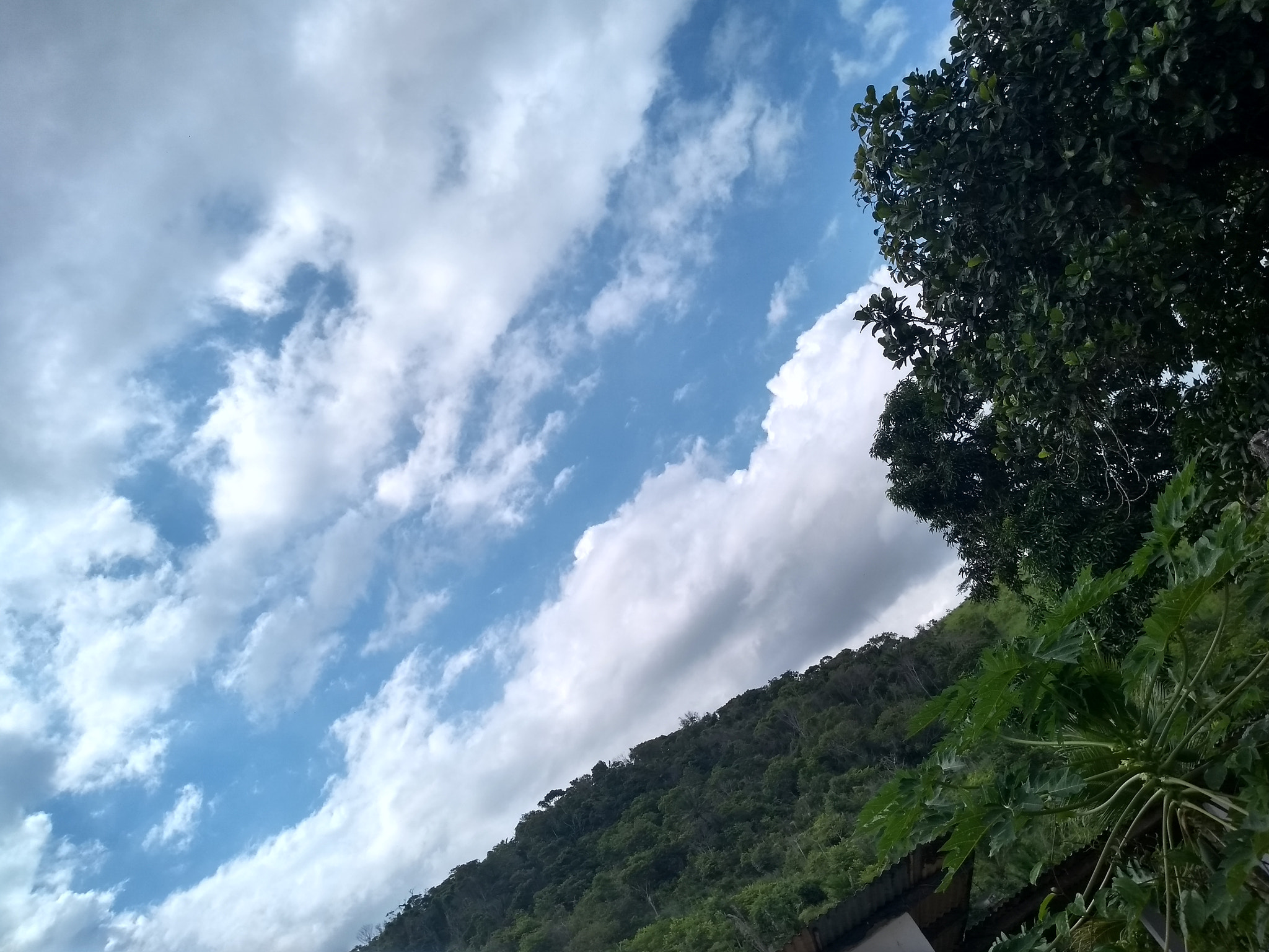 Motorola Moto G (5S) sample photo