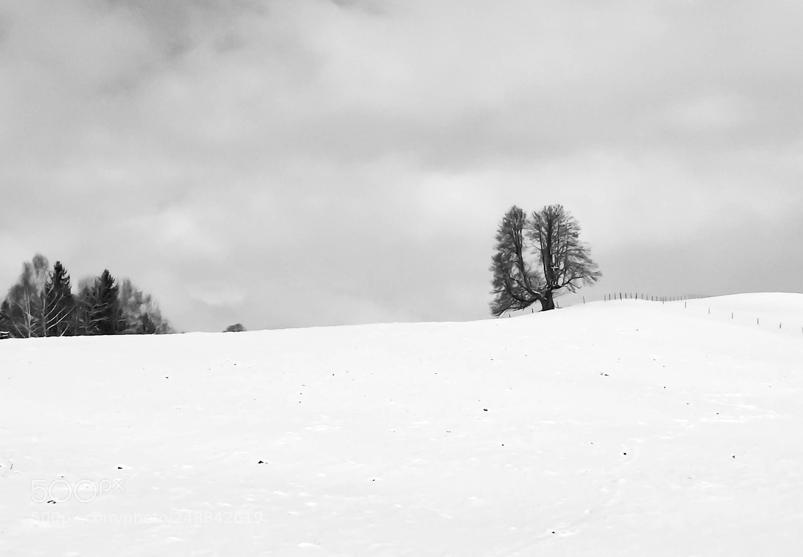 Apple iPhone 6 sample photo. Snow walk photography