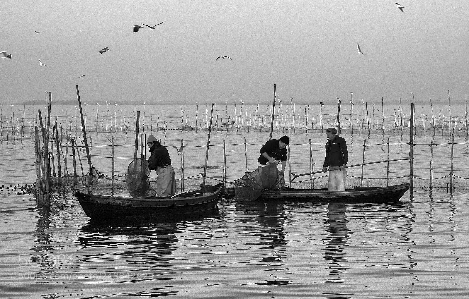 Nikon D300 sample photo. Fishing arts photography
