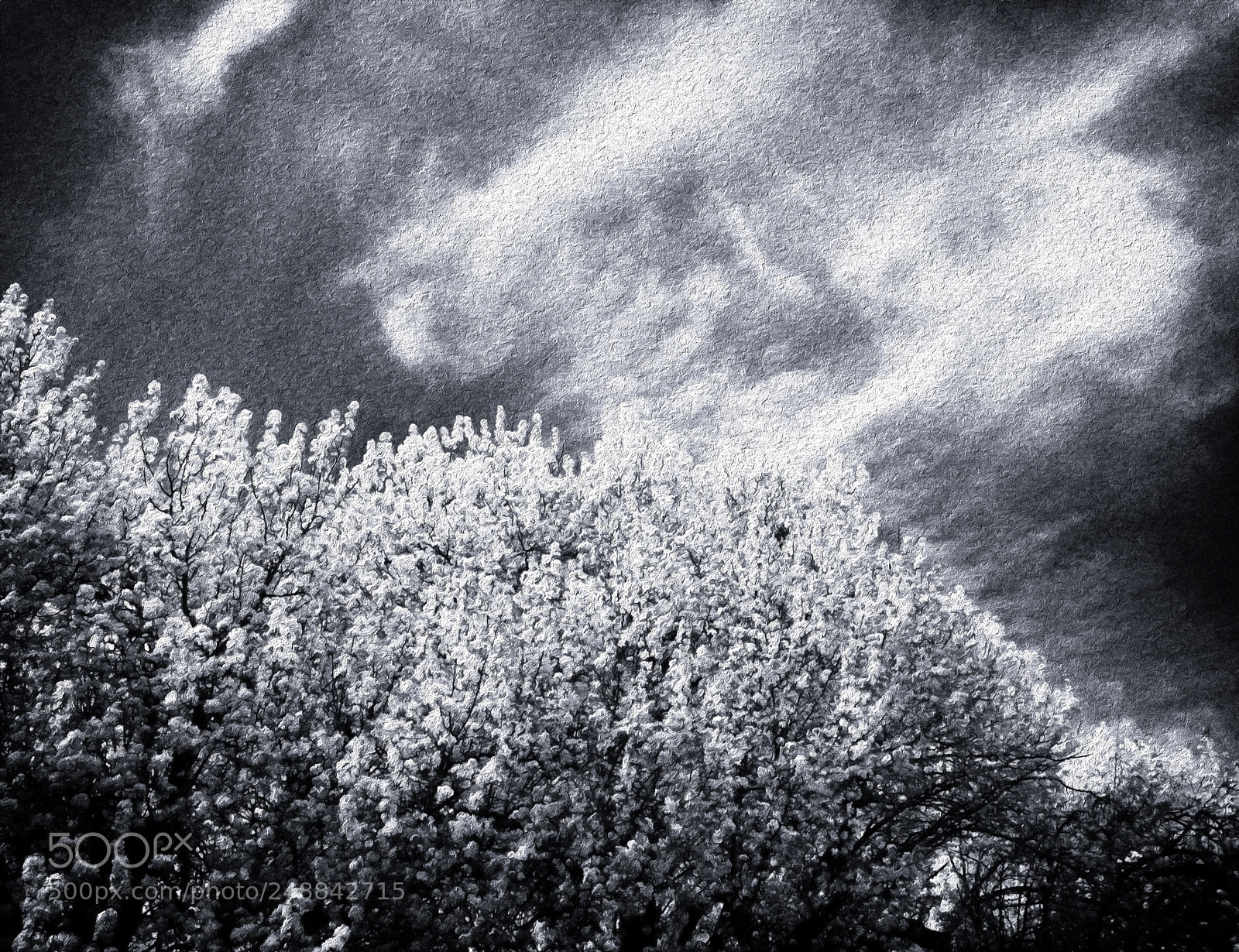Apple iPhone 6 Plus sample photo. Spring abstract photography