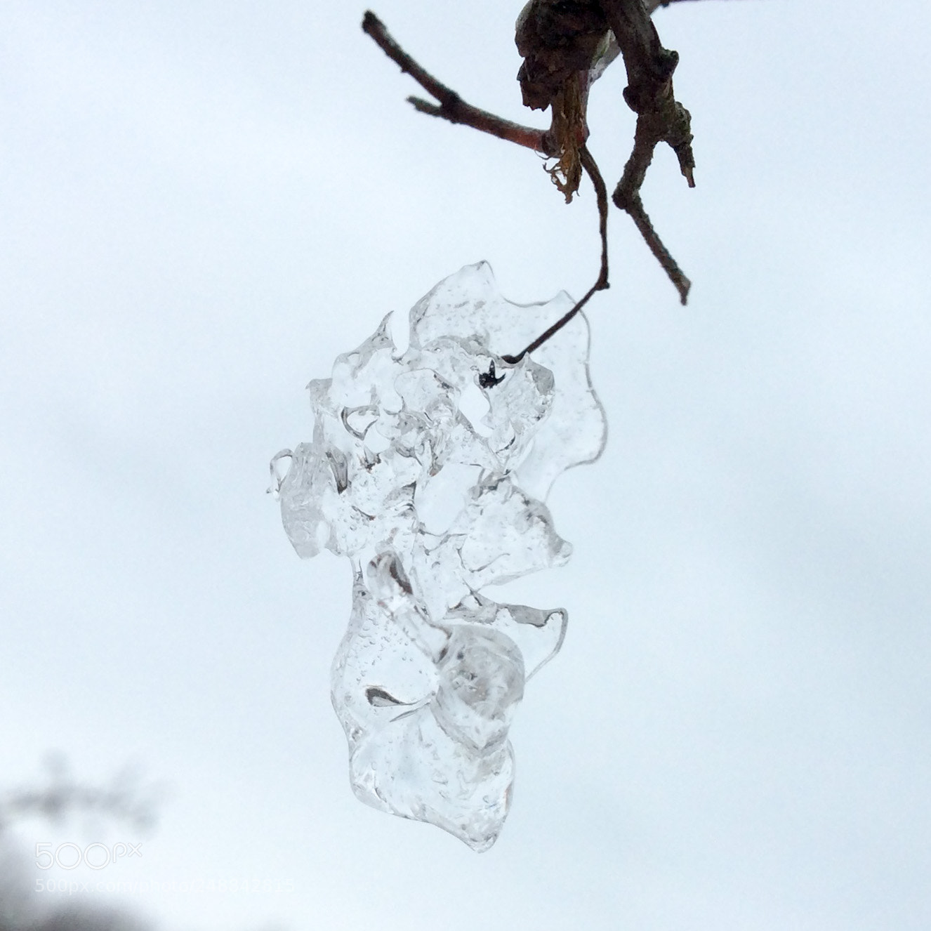 Apple iPad mini 2 sample photo. Ice berry photography