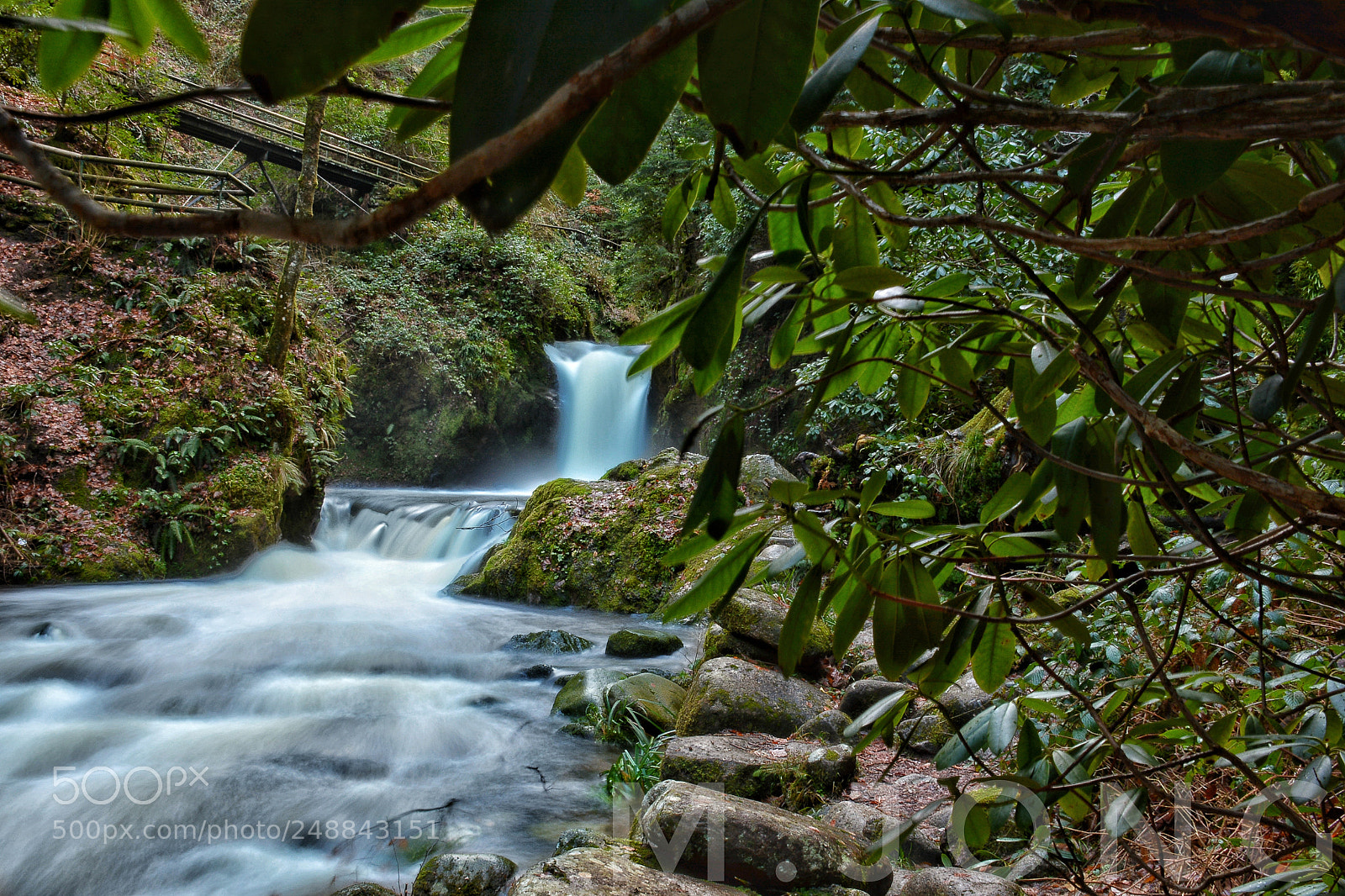 Nikon D7100 sample photo. Untitled photography