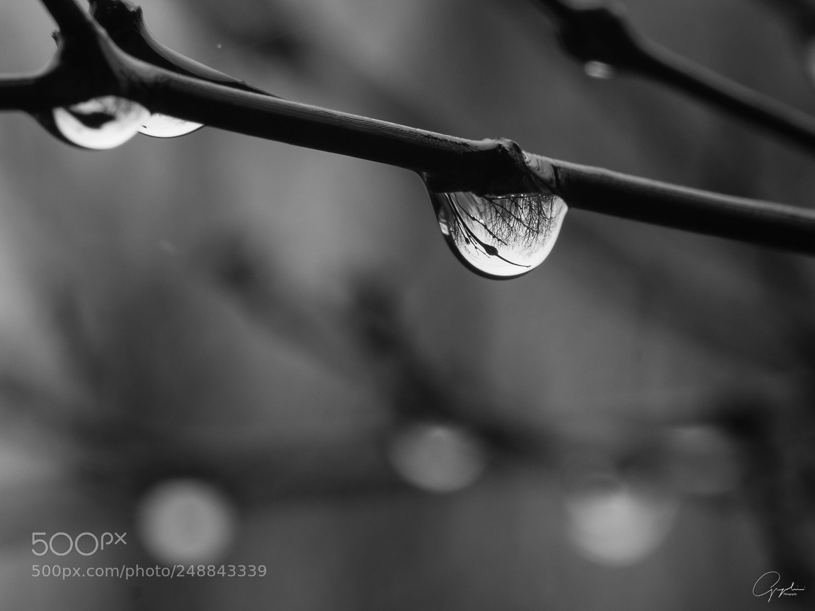 Olympus OM-D E-M1 sample photo. Piove! senti come piove! photography