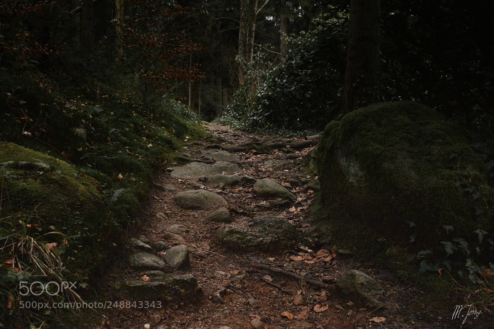 Nikon D7100 sample photo. Untitled photography