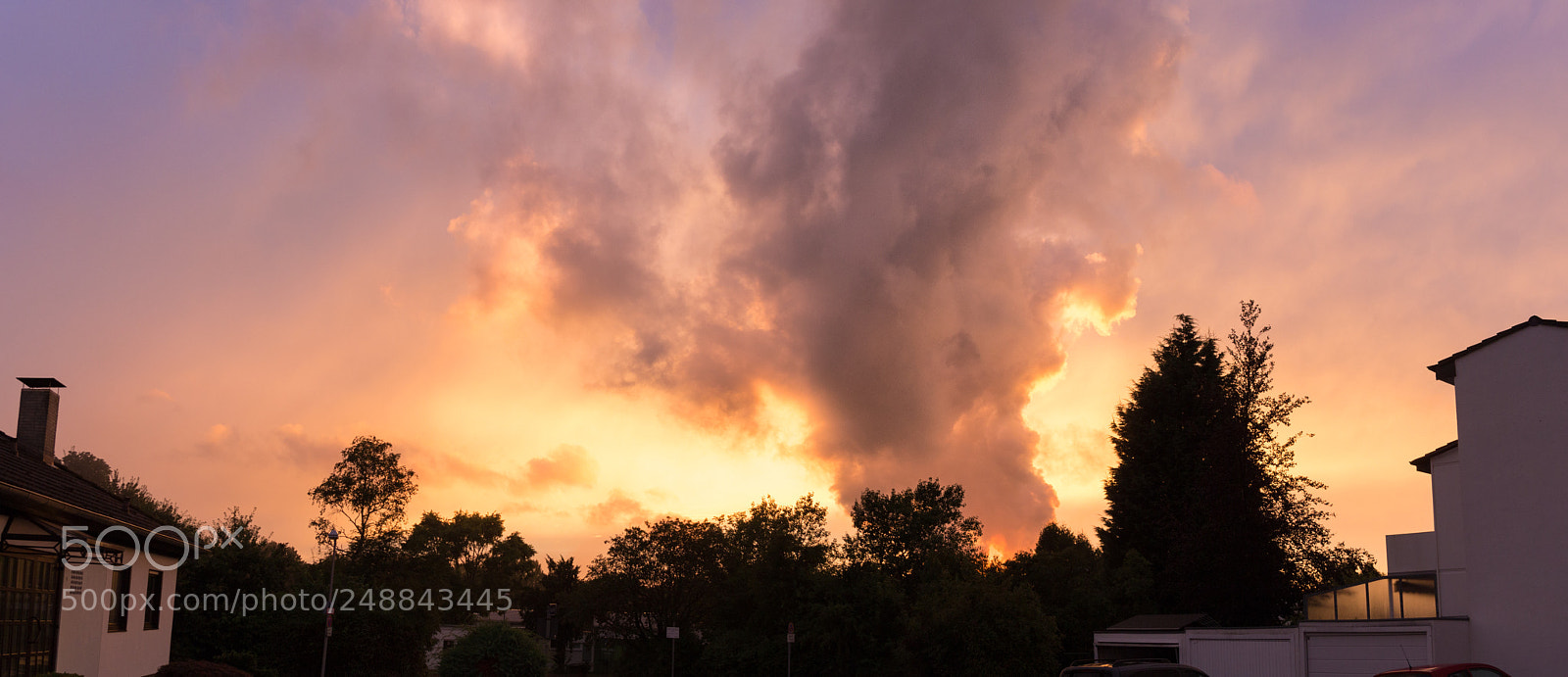 Canon EOS 650D (EOS Rebel T4i / EOS Kiss X6i) sample photo. Facing the sun photography