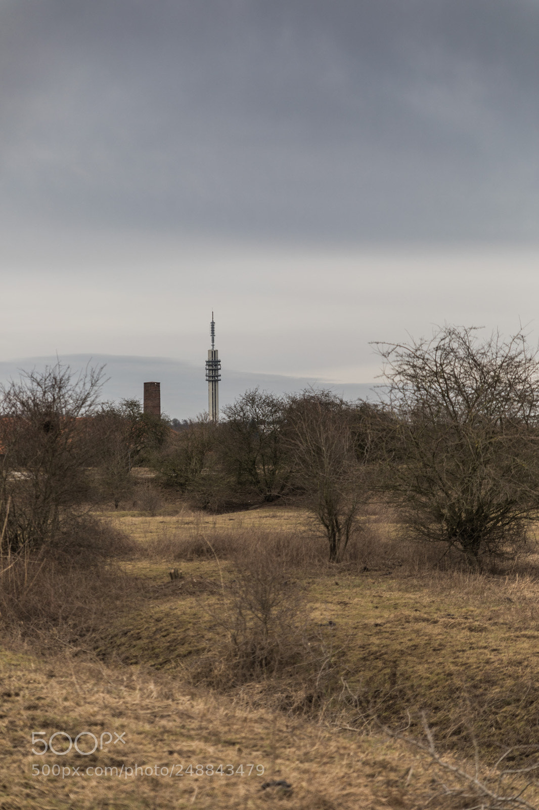 Canon EOS 5D Mark IV sample photo. Tower in the distance photography