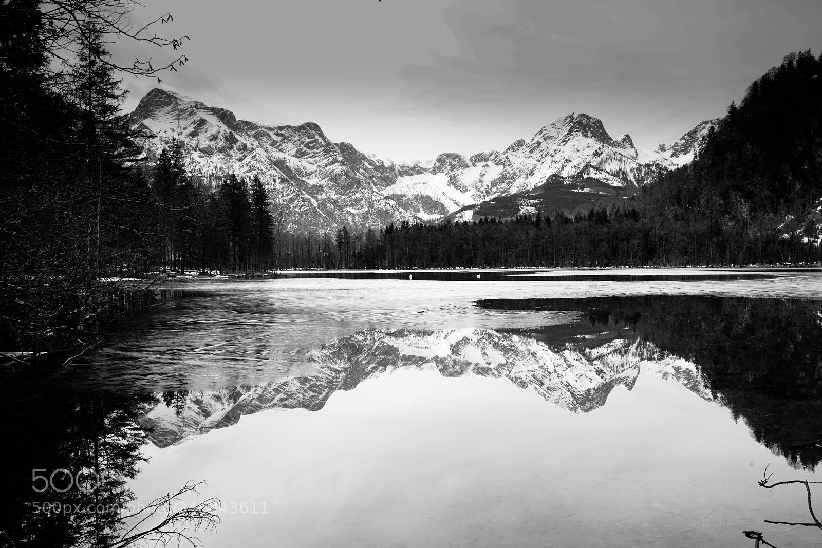 Sony a7R II sample photo. Almsee photography
