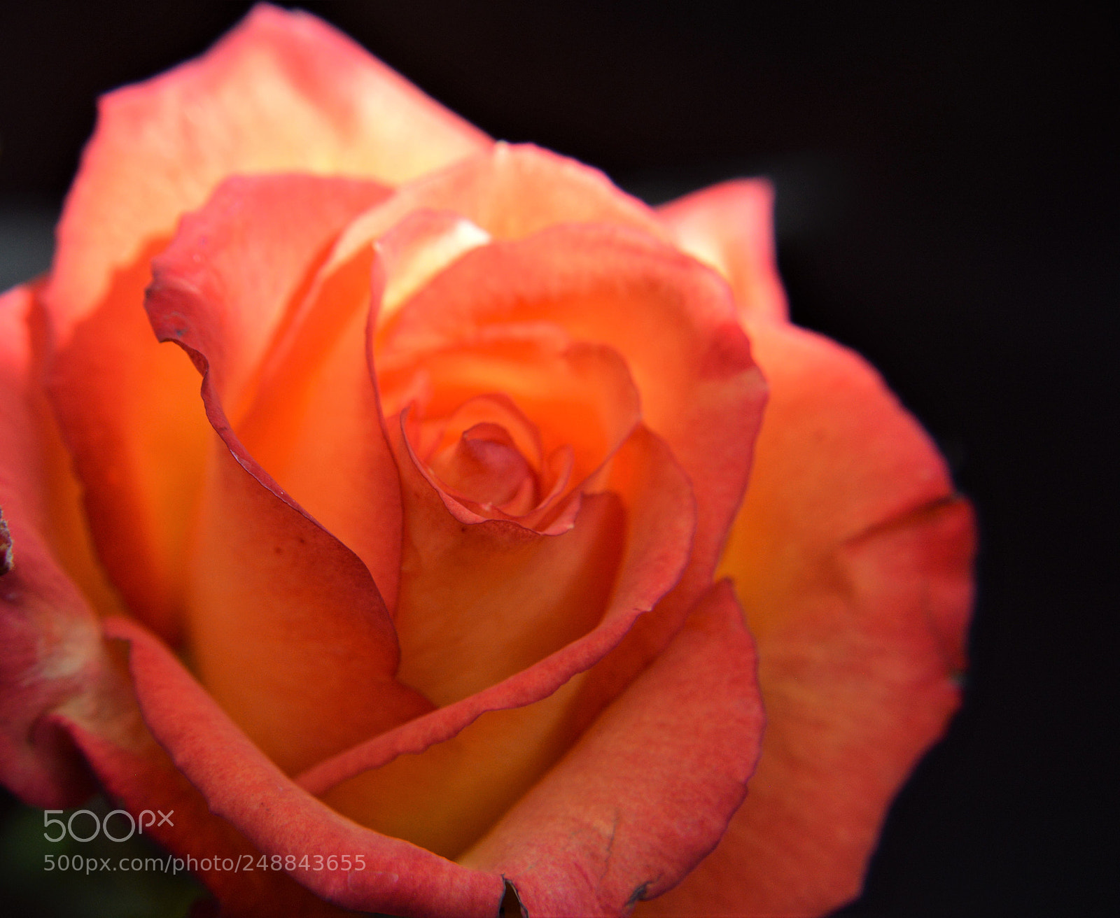 Nikon D3200 sample photo. Opening up photography