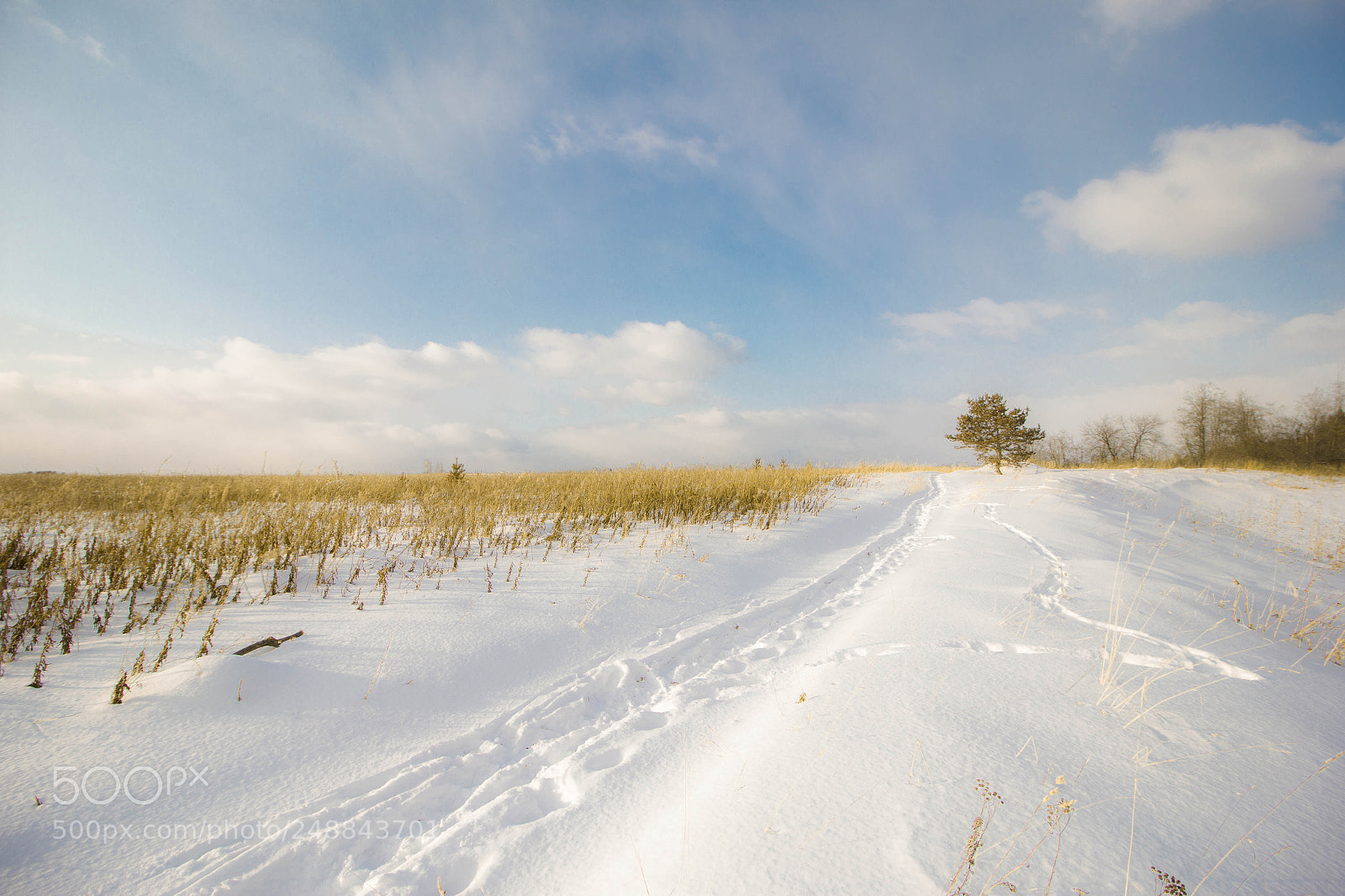 Canon EOS 60D sample photo. *** photography