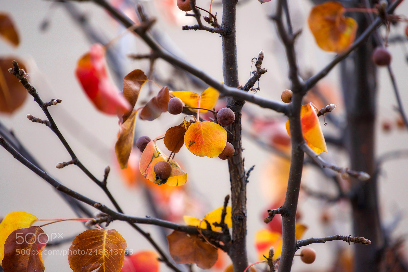 Sony a9 sample photo. Respite photography