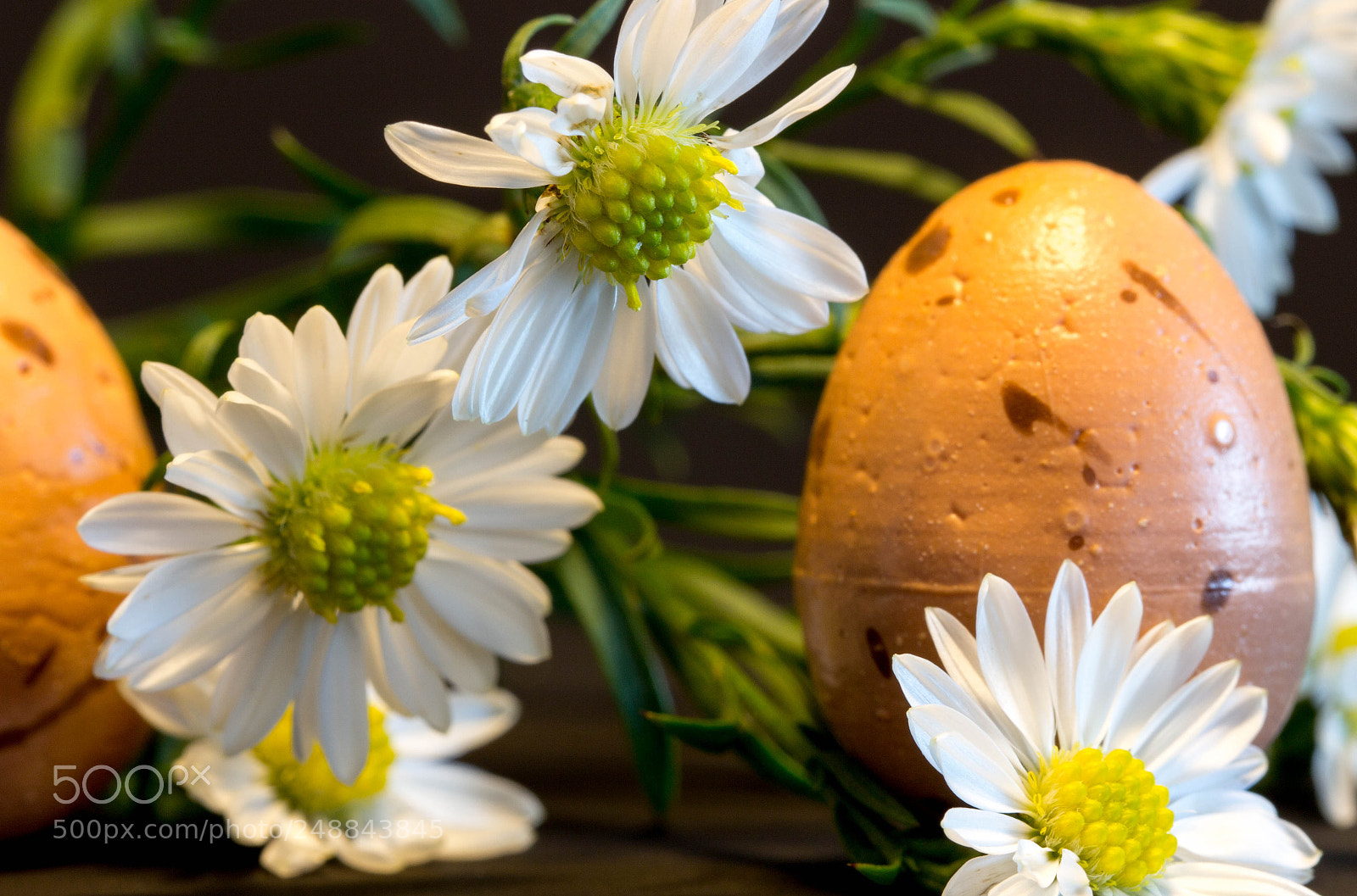 Canon EOS 600D (Rebel EOS T3i / EOS Kiss X5) sample photo. Easter photography